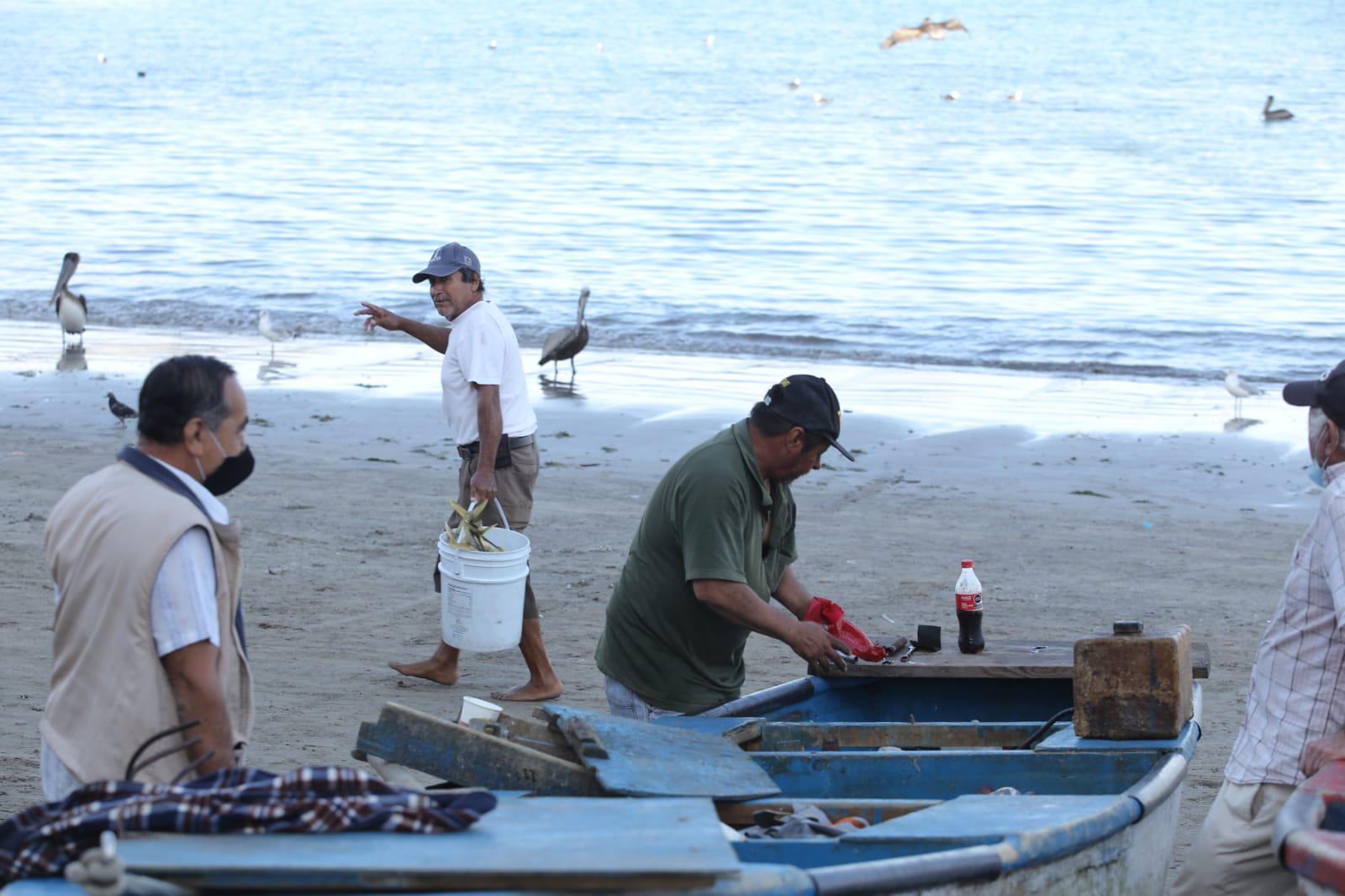 $!Pescadores de altamar definen como ‘muy baja’ la producción de camarón esta temporada
