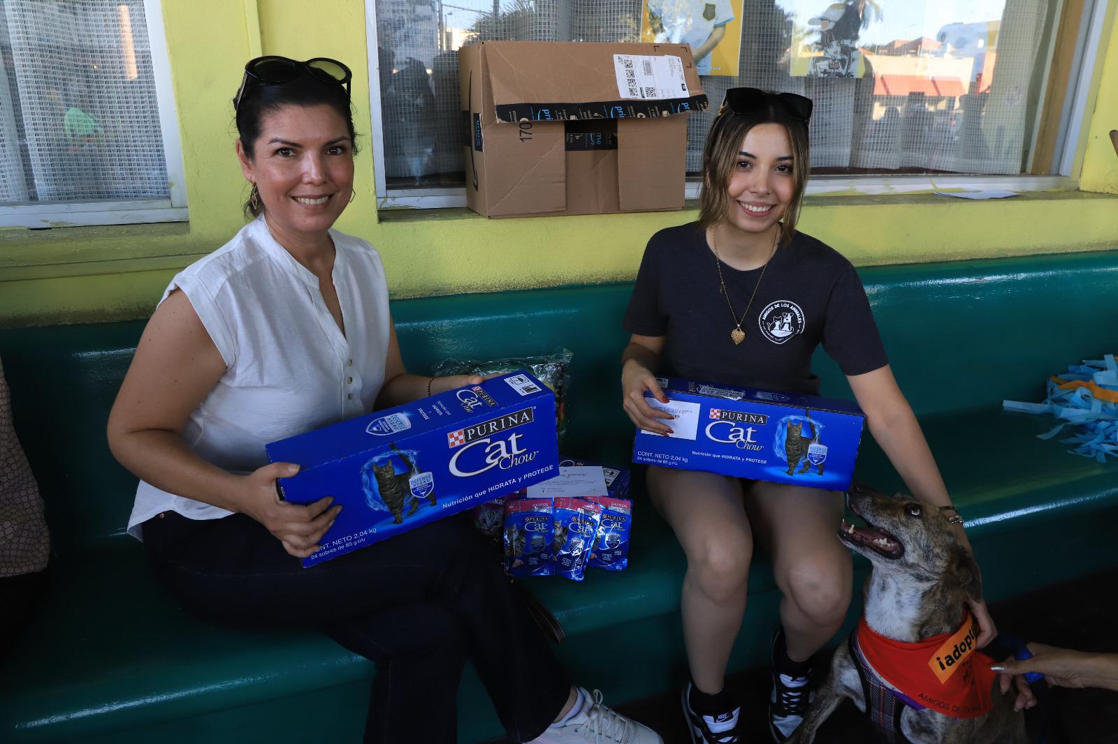 $!Realiza Amigos de los Animales Convivencia 2.0 con decenas de gatos y perros