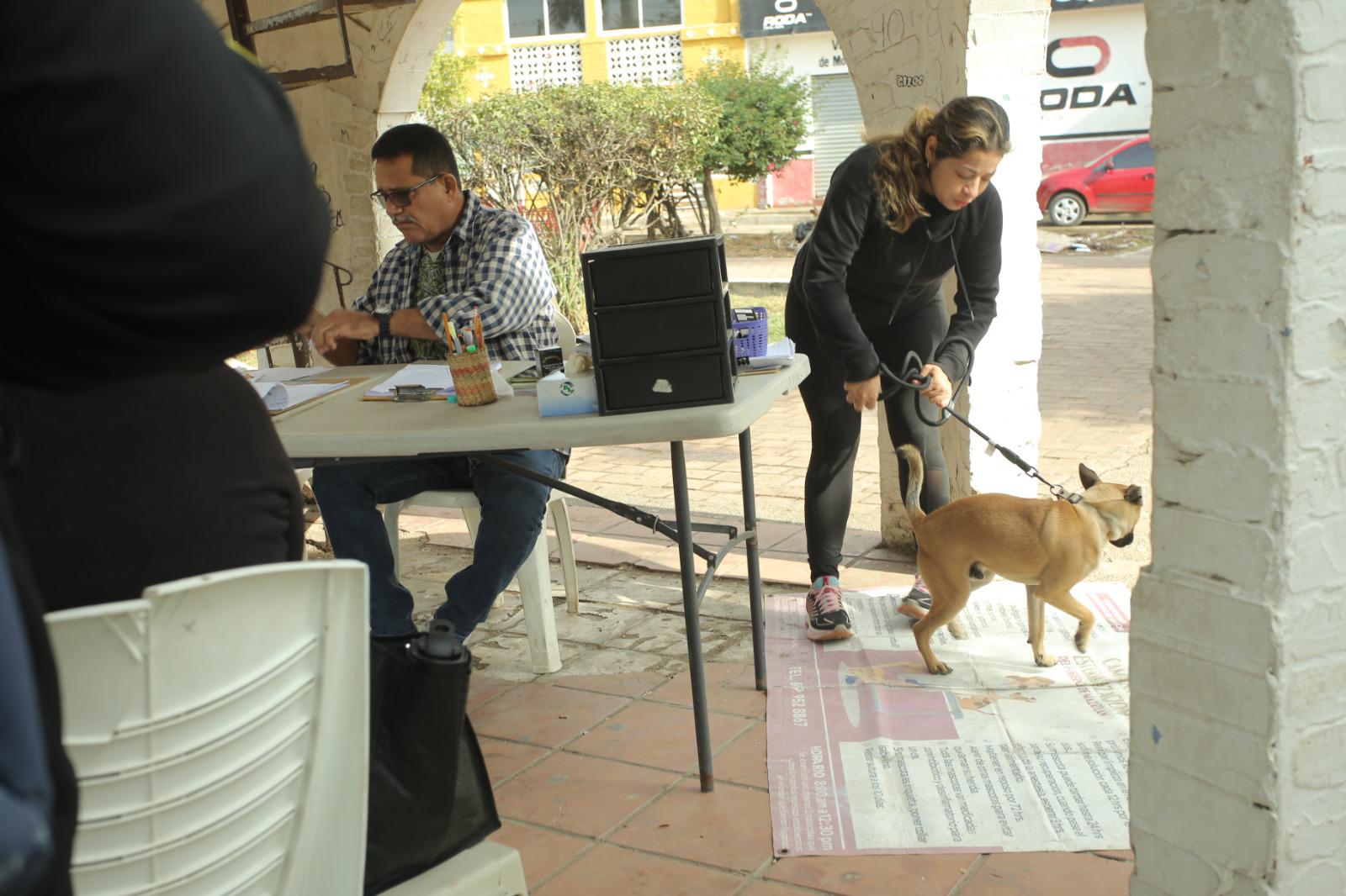 $!Camión esterilizador de Ecología tiene respuesta entre vecinos de Urías