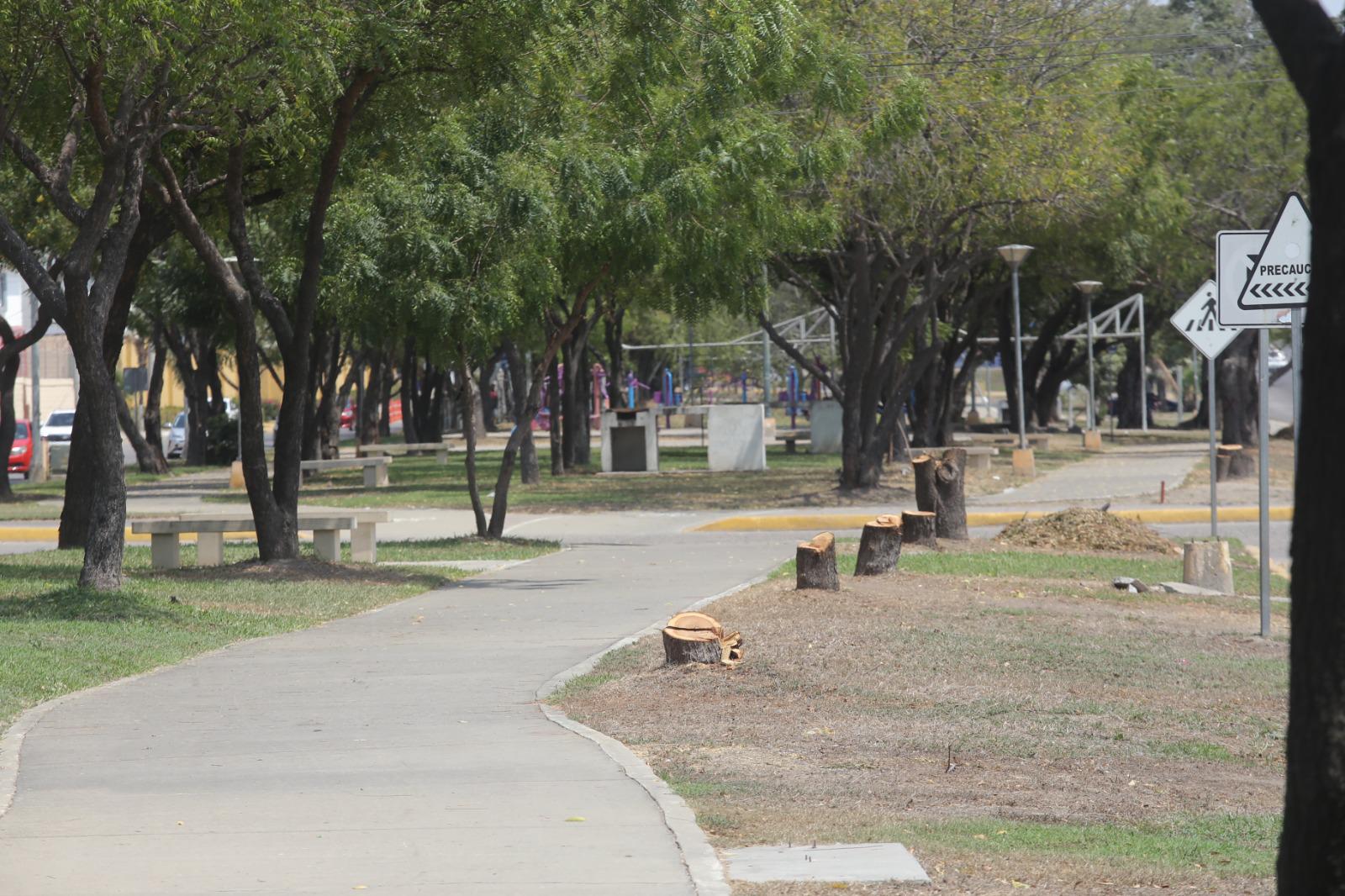 $!Luce Parque Lineal con menos sombra tras tala de árboles; vecinos denuncian el hecho