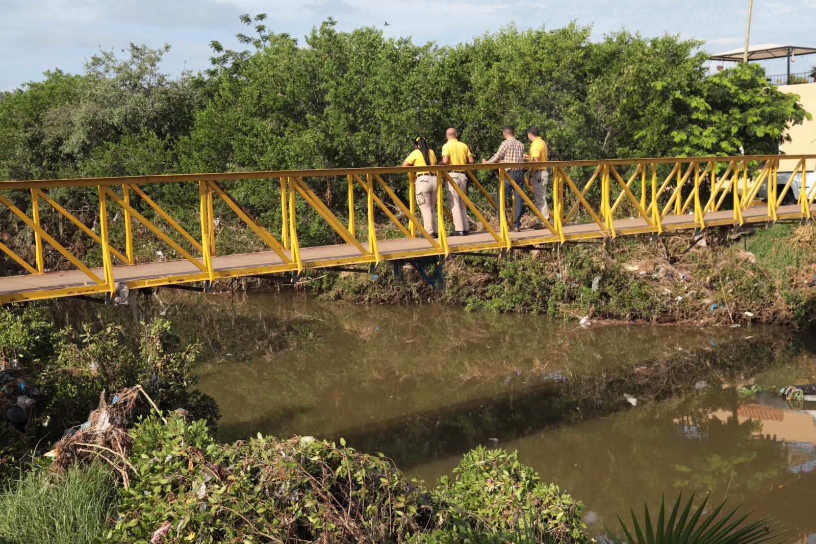 $!Brigada interviene en la tala de manglares protegidos en el Arroyo Jabalines en Mazatlán