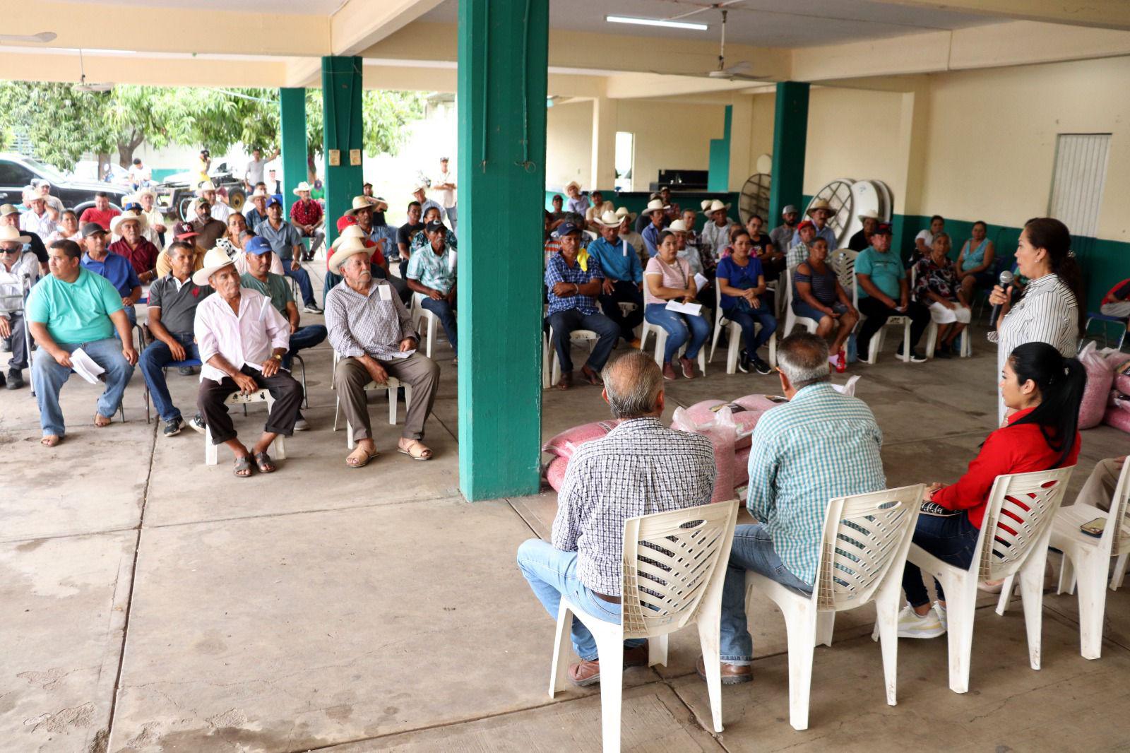 $!Entregan apoyo de semilla de maíz y frijol a más de 100 productores en Escuinapa