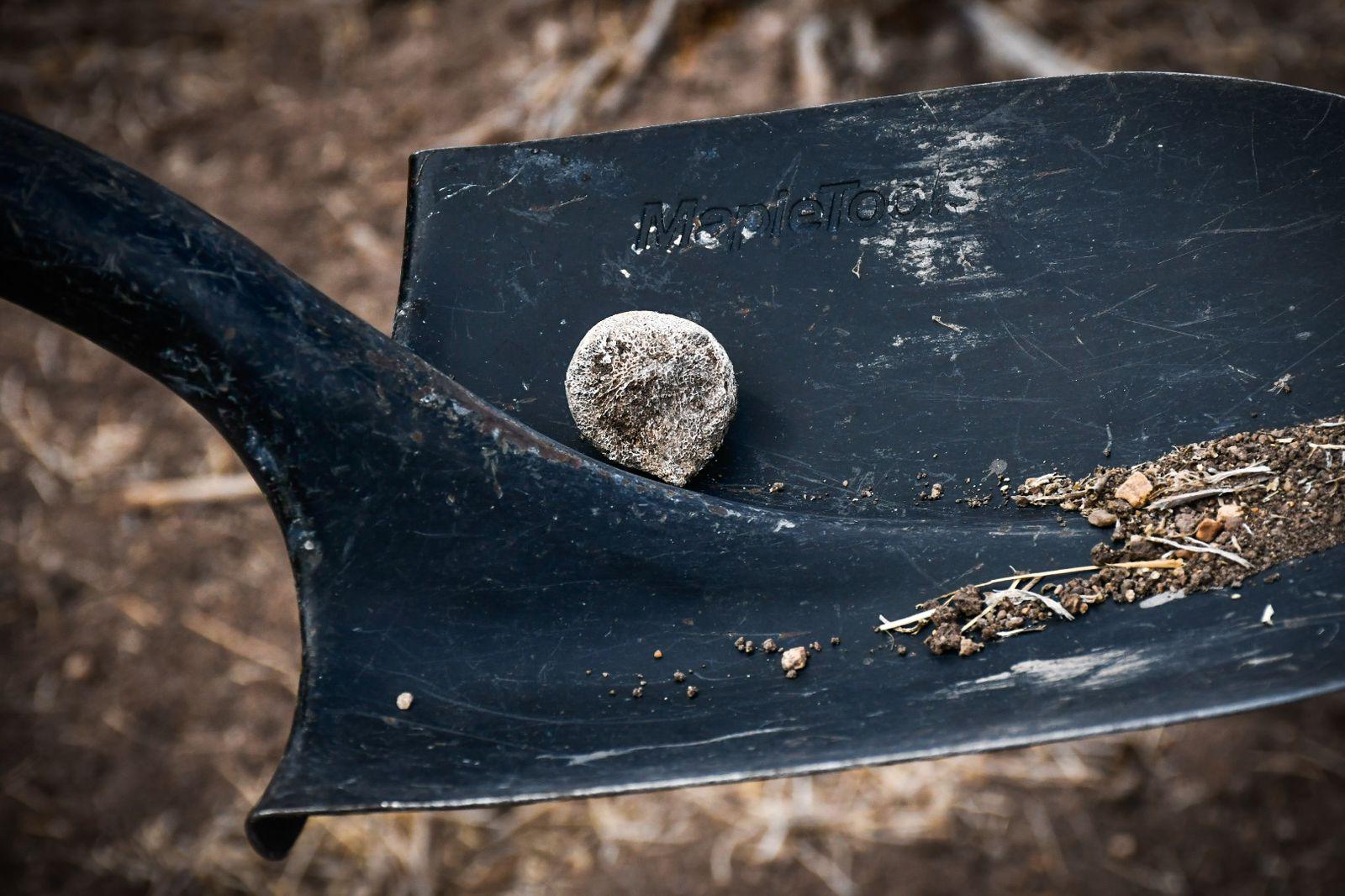 $!Peinan Costa Rica buscando a seis jóvenes desaparecidos; entre parcelas buscaron los cuerpos
