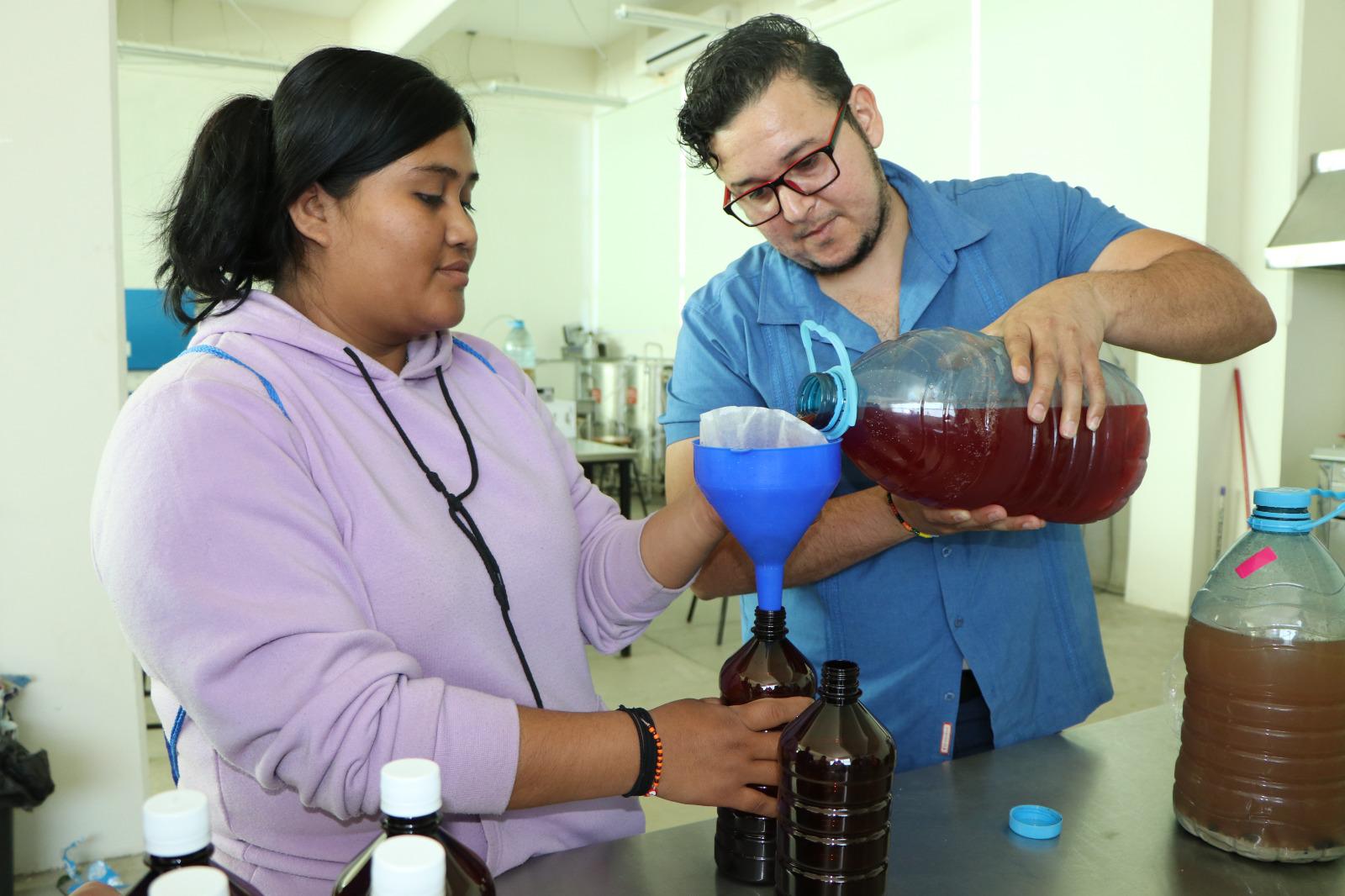 $!Sectur Sinaloa concluye taller de cerveza artesanal en la UPMyS