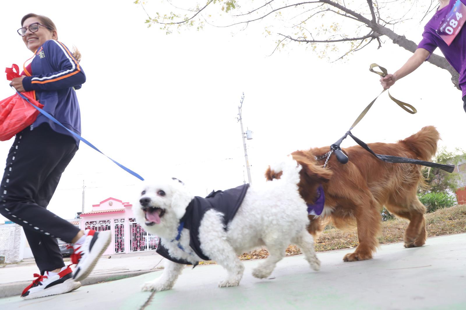 $!Promueven con Canrrera el amor por los lomitos