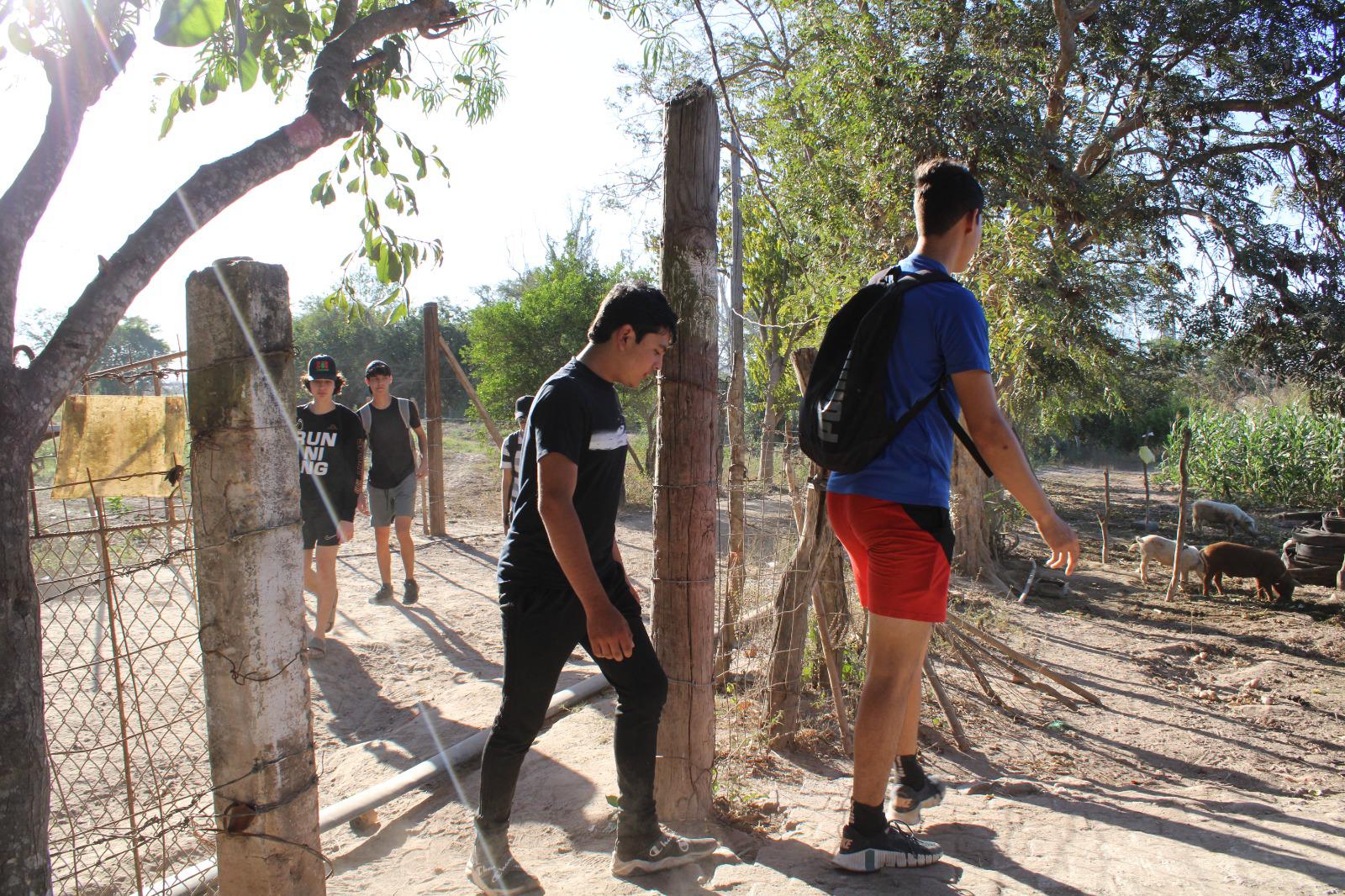 $!Se unen en Rosario a la tradicional cosecha de jícama