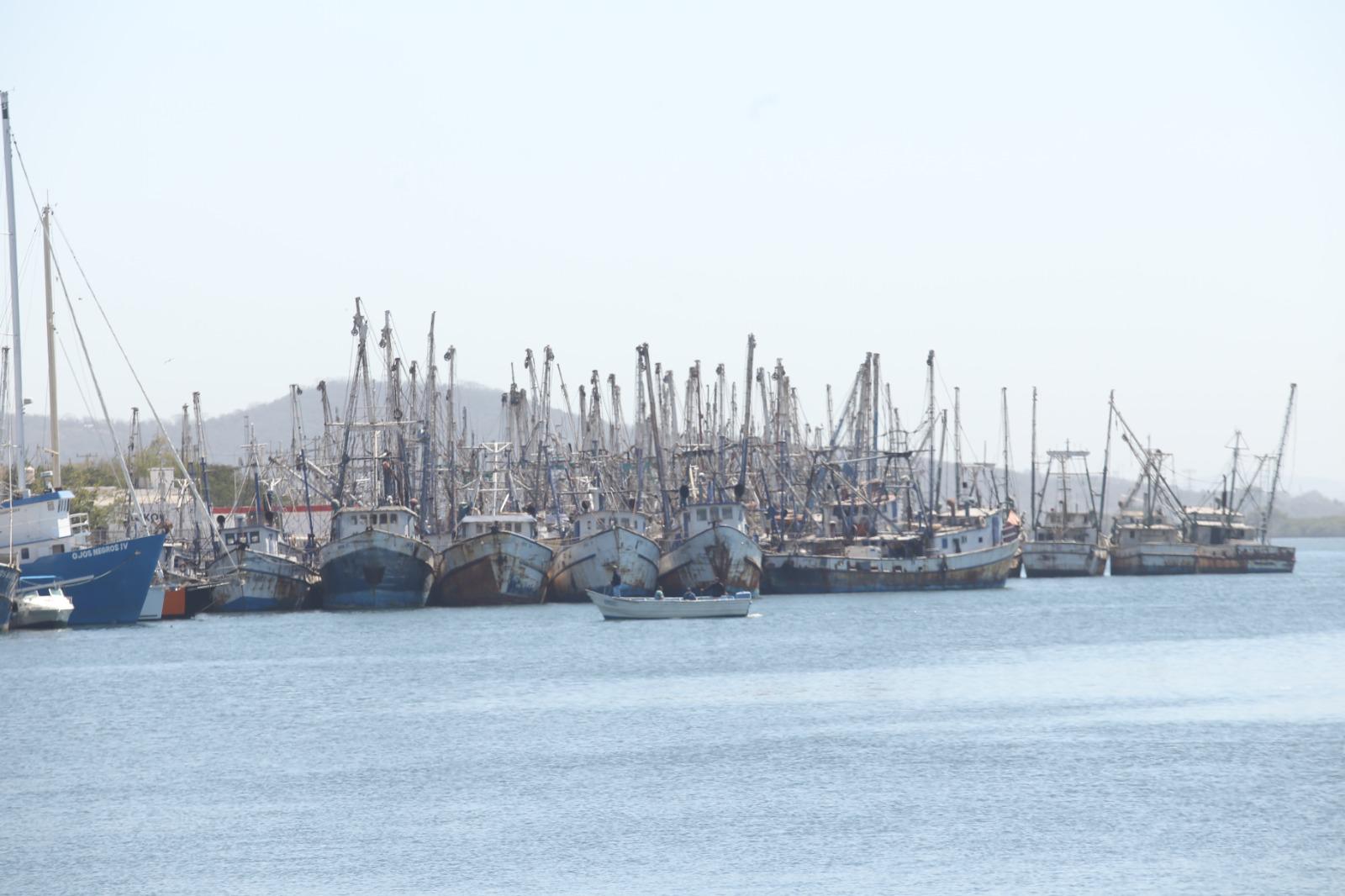 $!Industria camaronera de Mazatlán flota en un mar de crisis
