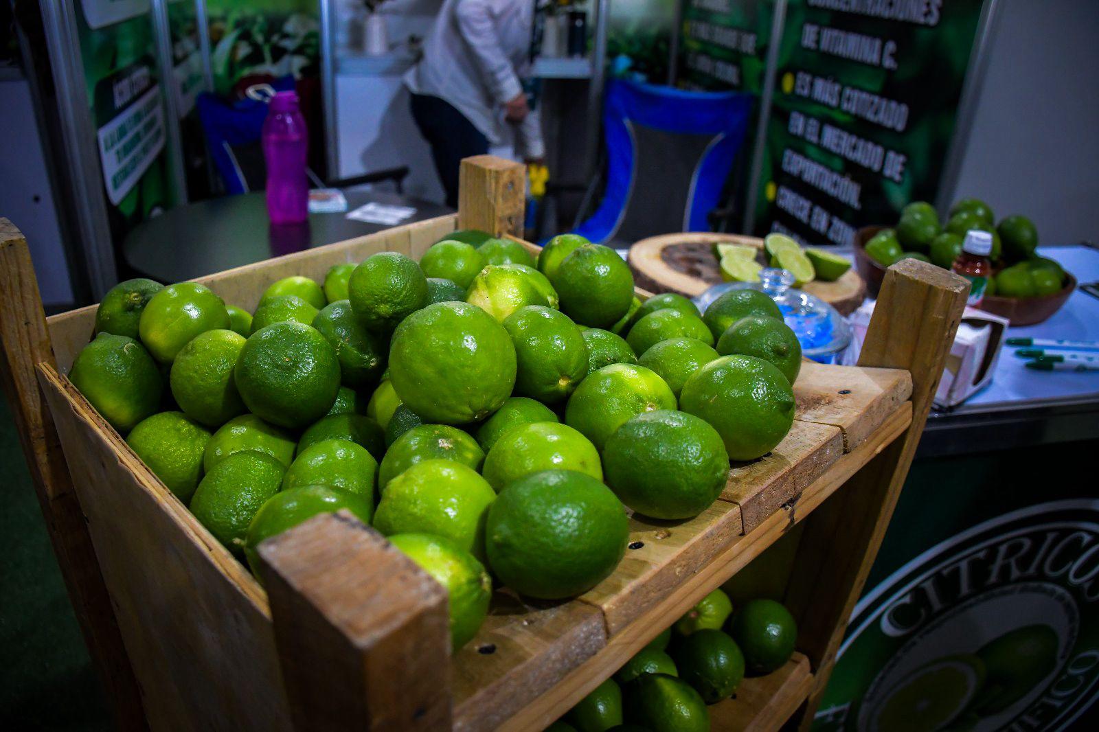 $!Arranca la Expo Agro Sinaloa 2026 en Culiacán; reúne a productores, empresas y autoridades