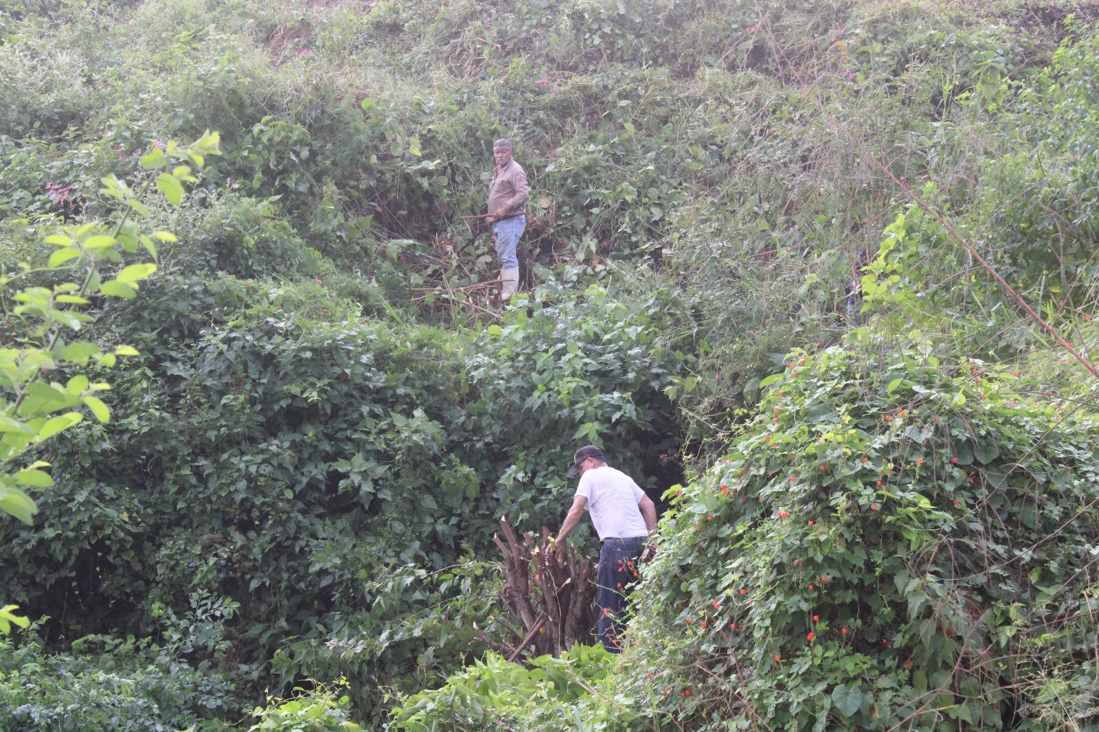 $!Vecinos de Cacalotán limpian carretera estatal desde hace 20 años para evitar accidentes