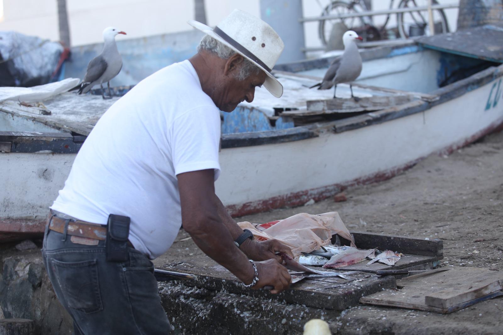 $!El mar se pone frío y en Mazatlán inicia la temporada de sierra