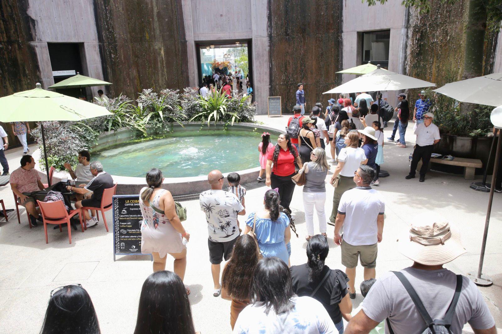 $!Hijos de trabajadores de Noroeste celebran el Día del Niño con una ‘exploración’ en el Gran Acuario de Mazatlán