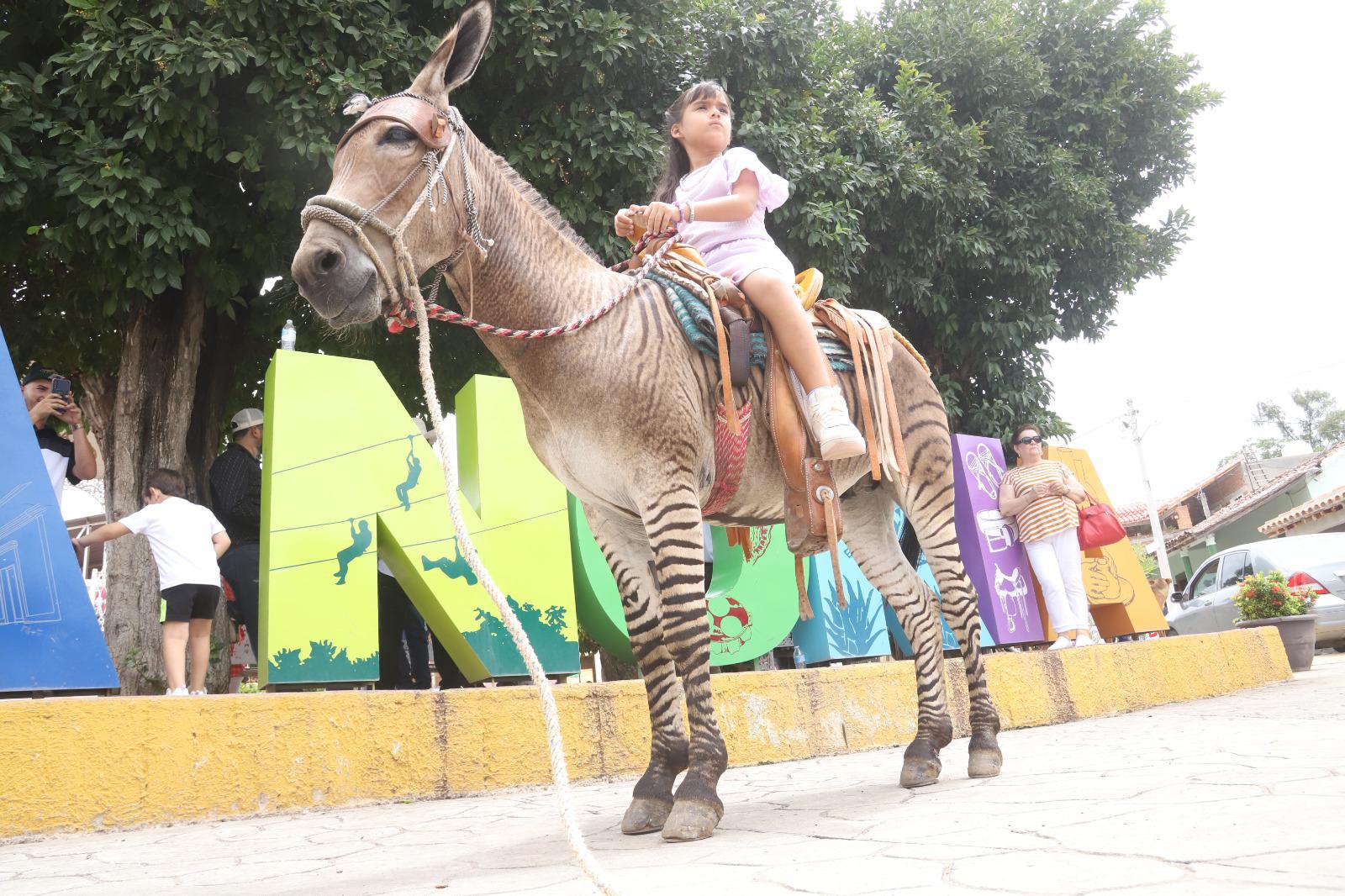 $!El Tigre, el burrito cebrino más fotografiado de La Noria, Mazatlán