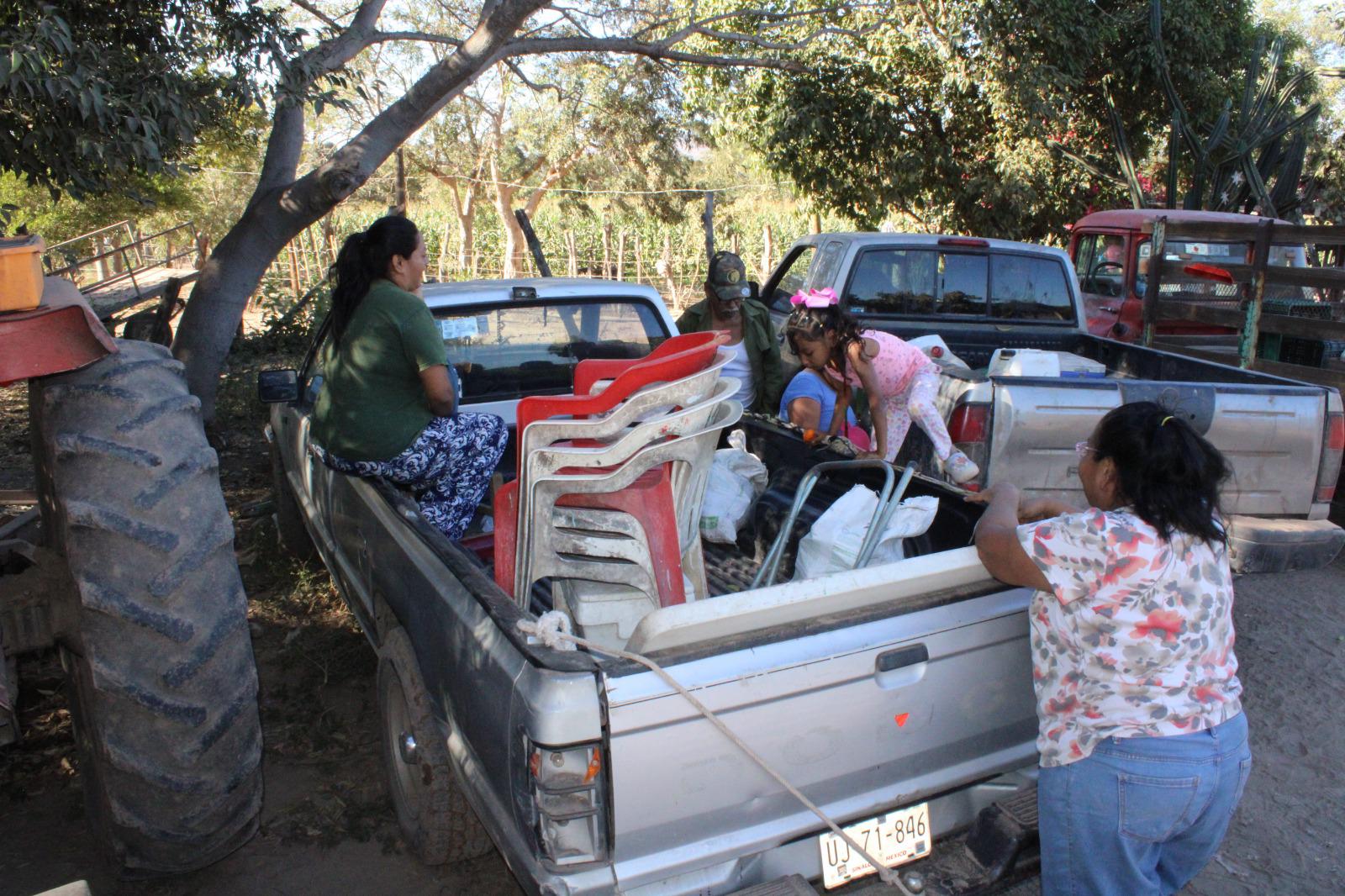 $!Se unen en Rosario a la tradicional cosecha de jícama