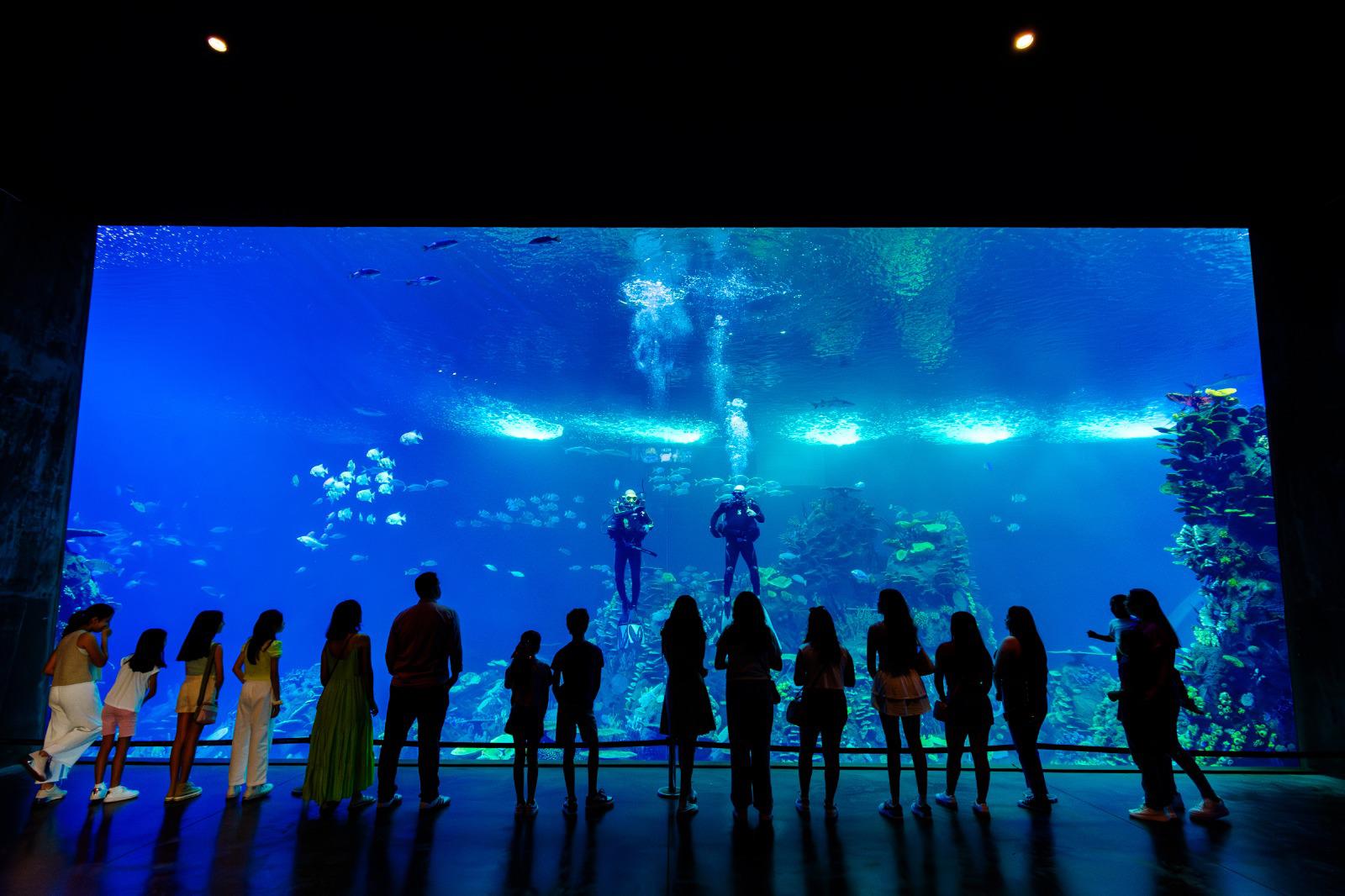 $!Gran Acuario Mazatlán lanza paquete especial para residentes locales