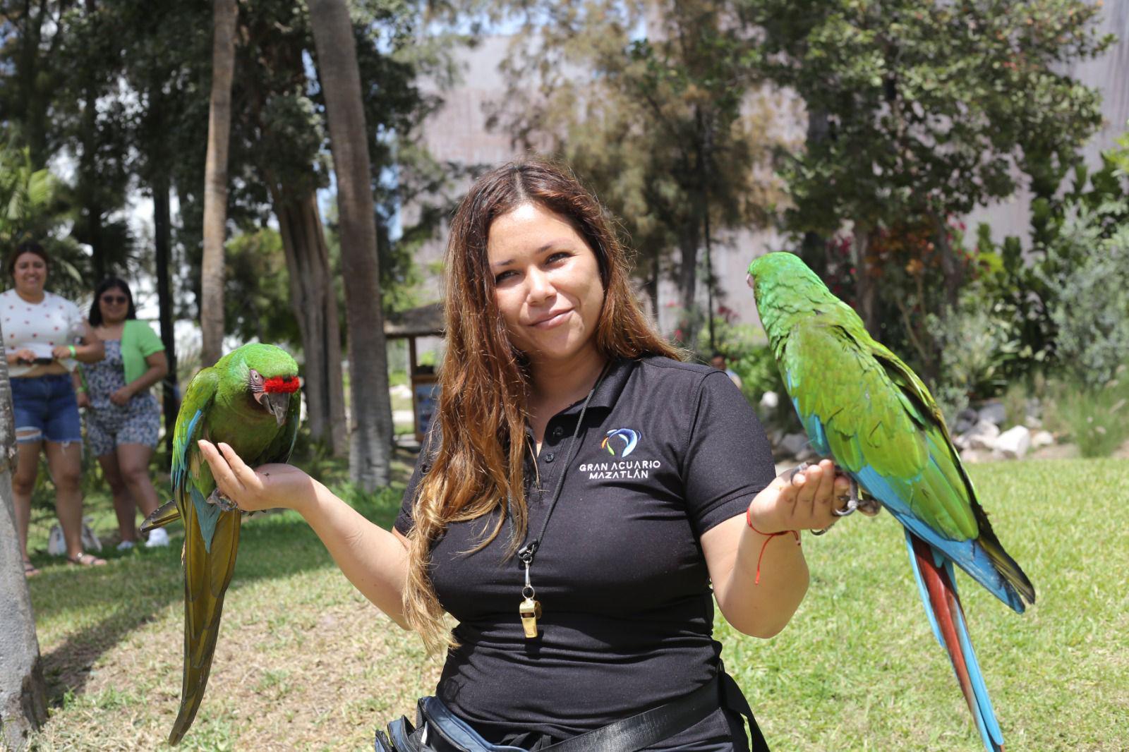 $!Hijos de trabajadores de Noroeste celebran el Día del Niño con una ‘exploración’ en el Gran Acuario de Mazatlán