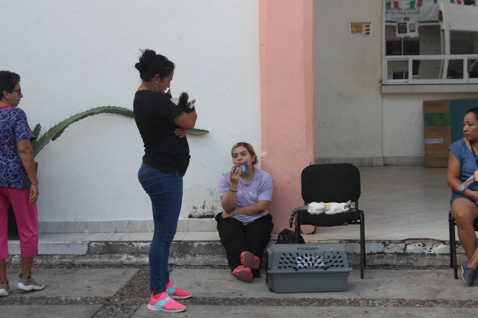 $!Crece abandono de mascotas en Rosario, informan activistas