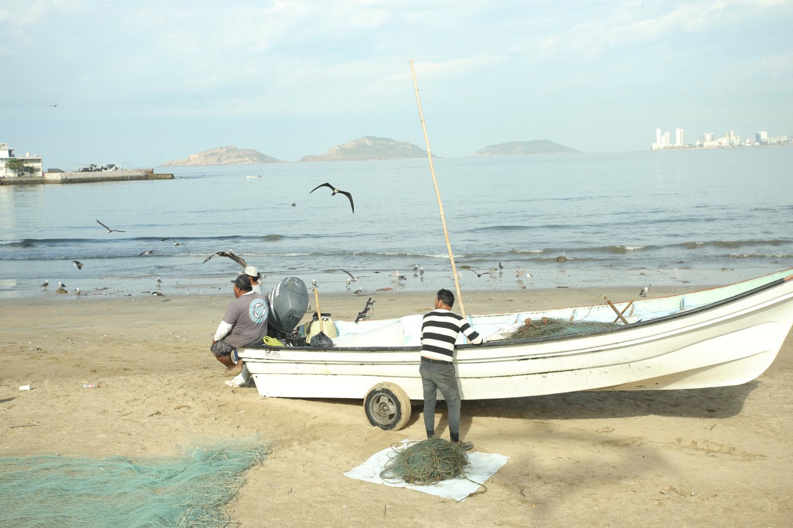 $!Reportan repunte en ventas de pescado en Playa Norte