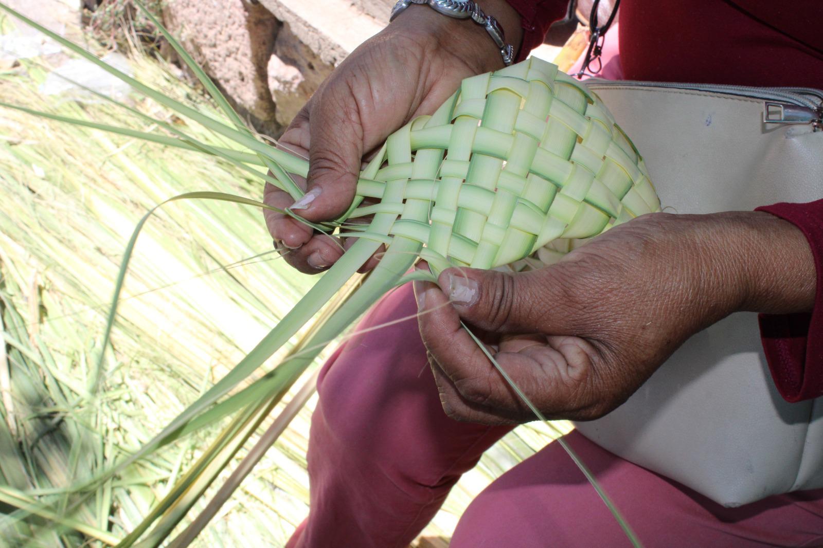 $!Cumple familia López Ortiz 150 años de tradición en la venta de palma