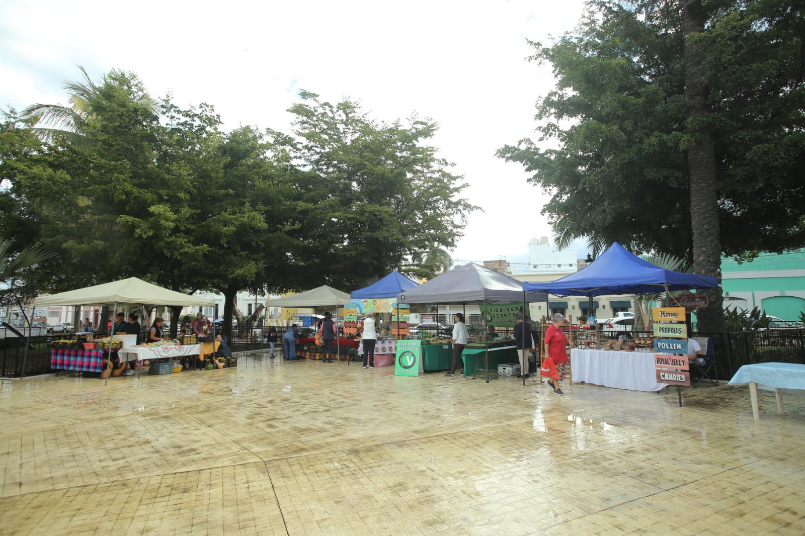 $!Mercado Orgánico realiza degustación de bebidas saludables hechas a base de frutos y colágeno marino