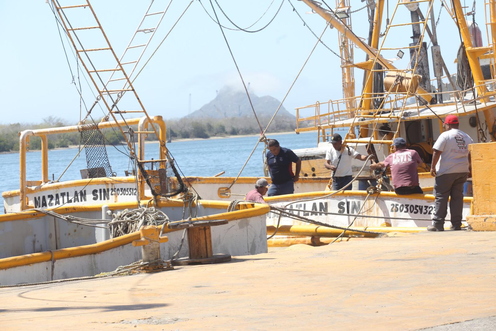 $!Industria camaronera de Mazatlán flota en un mar de crisis