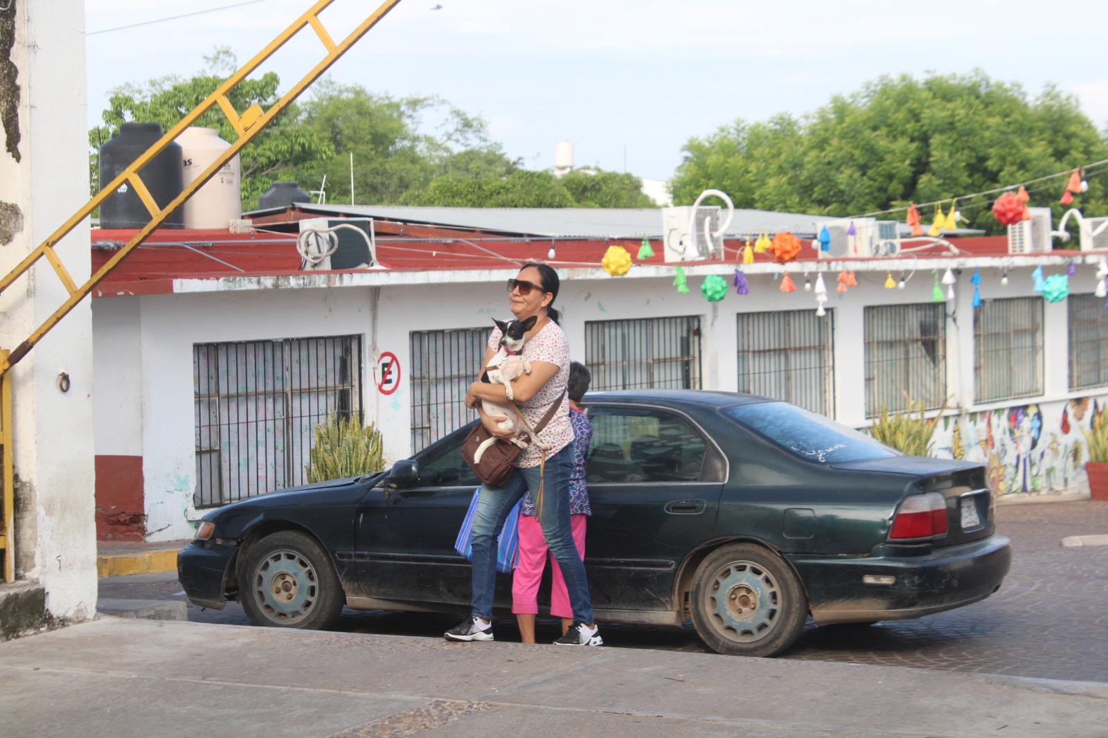 $!Crece abandono de mascotas en Rosario, informan activistas