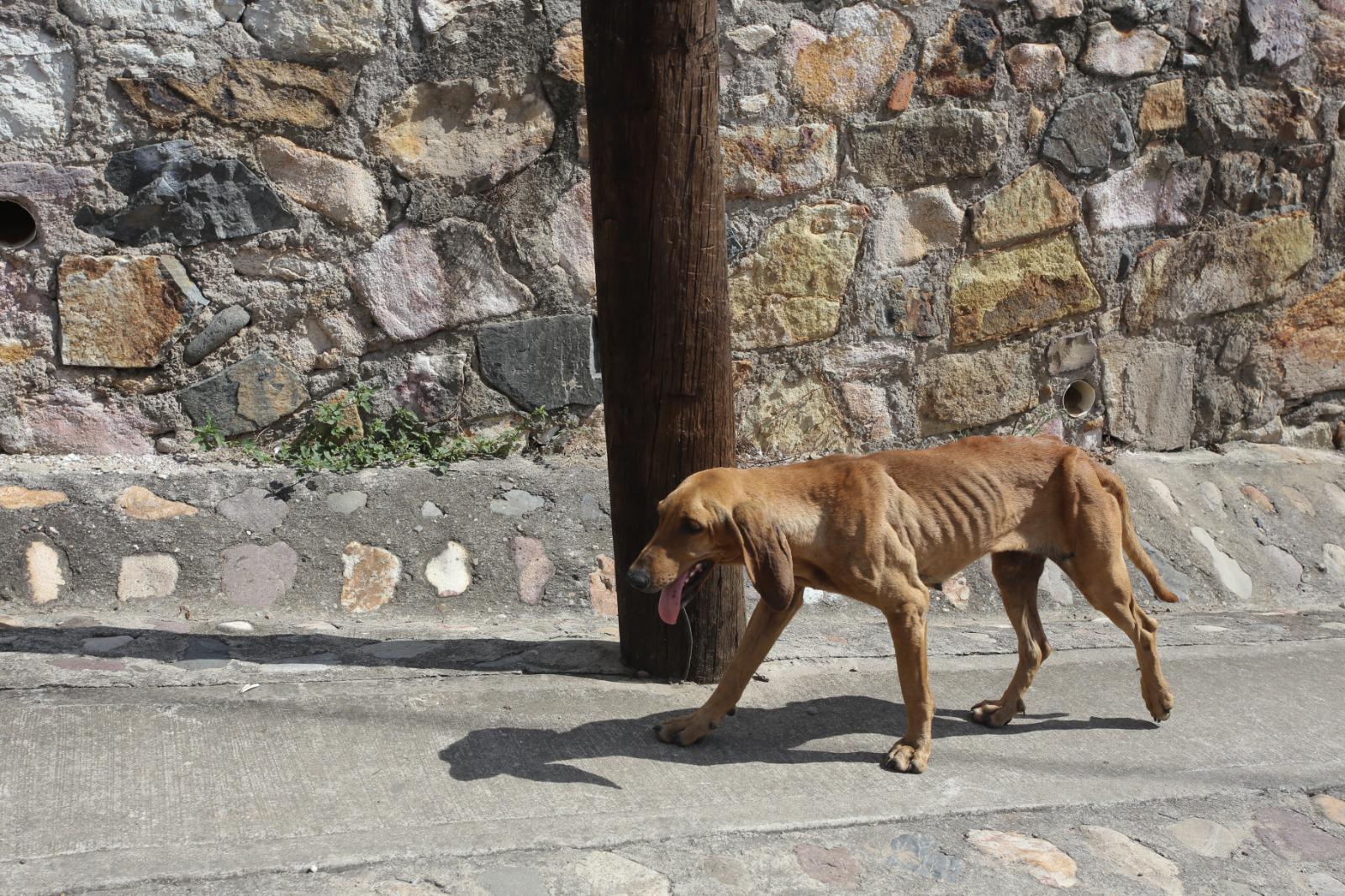 $!Tiene zona serrana de Concordia pueblos fantasma por la violencia