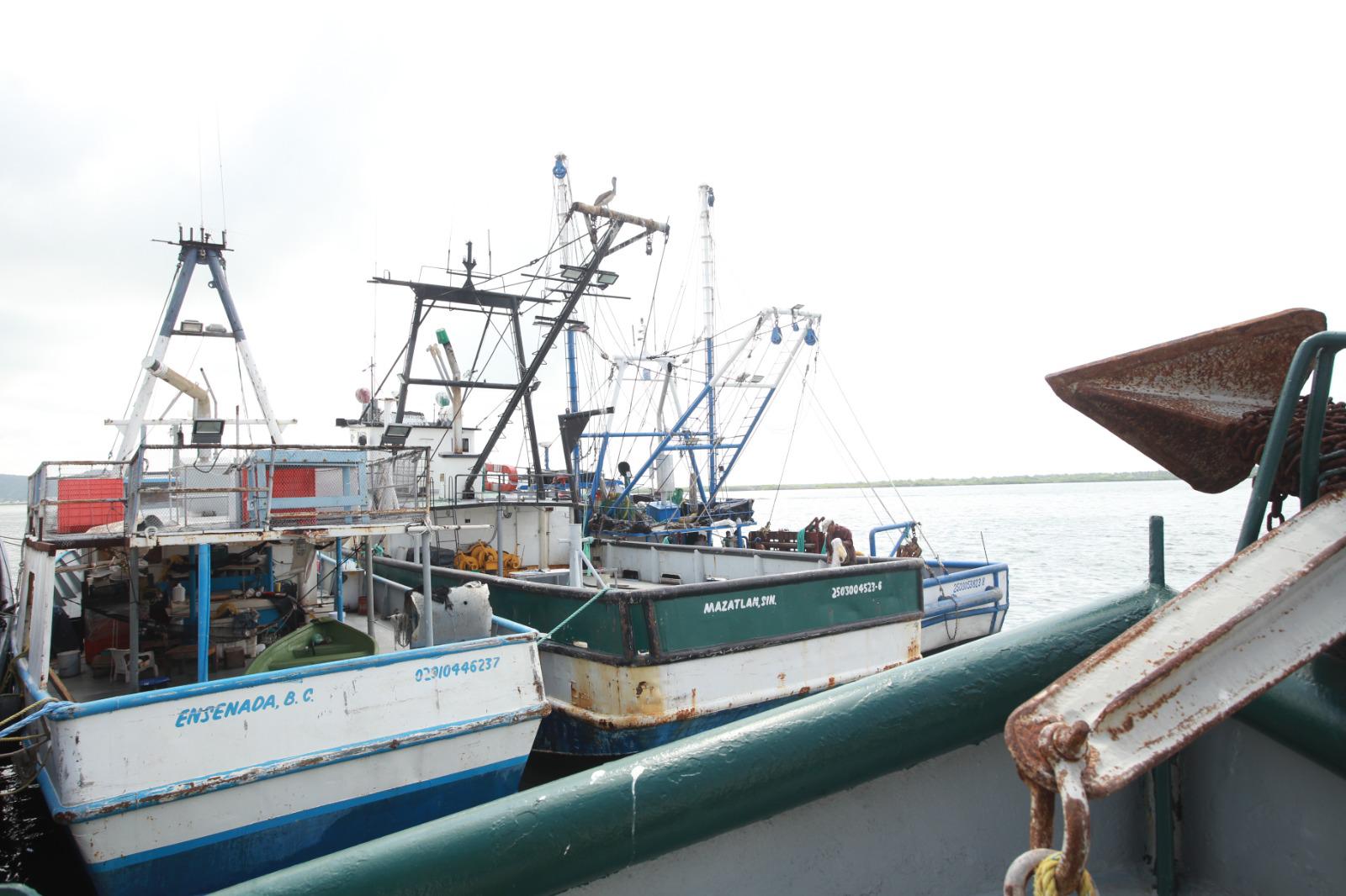 $!Solo el 40% de la flota de Mazatlán saldrá a la pesca del camarón esta temporada