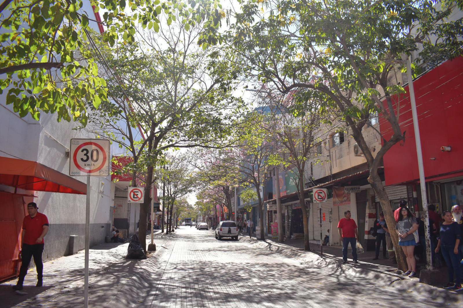 $!FOTOS | La amapa florece y adorna las calles de Culiacán