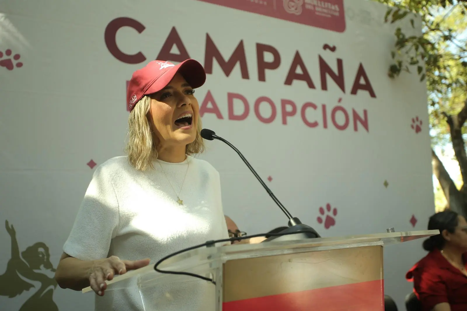 $!Avanza ‘Huellitas del Bienestar’ con 74 adopciones y más de 7 mil esterilizaciones para perros y gatos en Mazatlán
