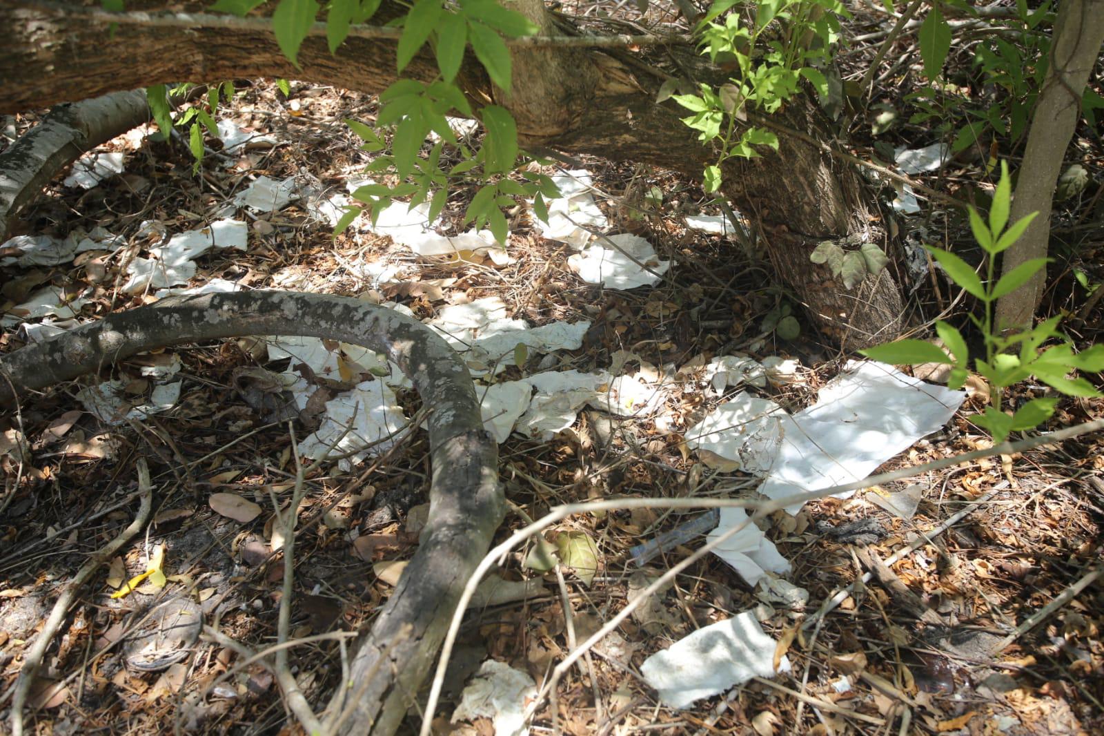 $!La Isla de Venados cada día atrae más visitantes y cada vez, se contamina más