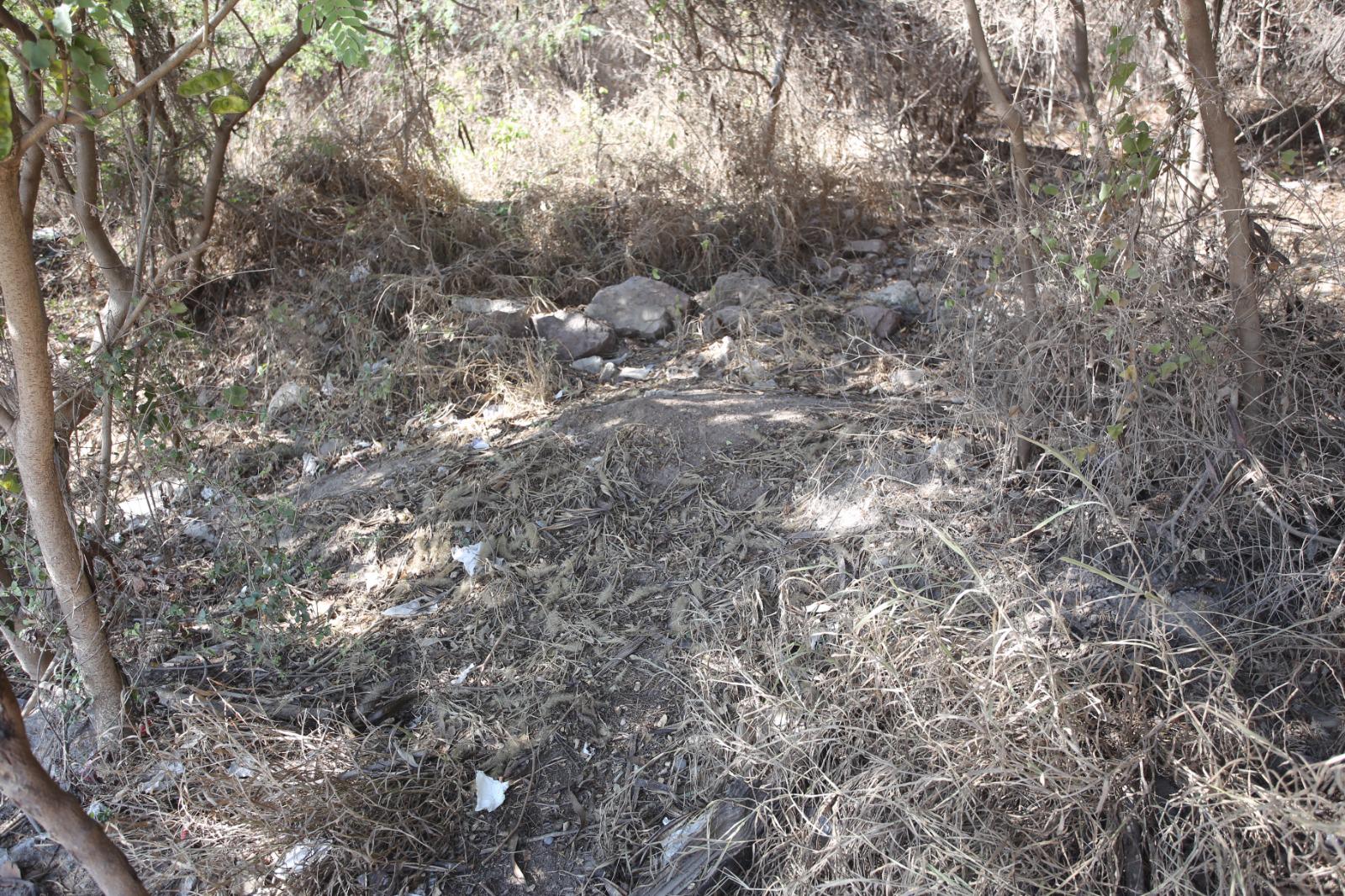 $!Tras limpieza de MazConCiencia, la escollera del Faro Mazatlán continúa libre de basura