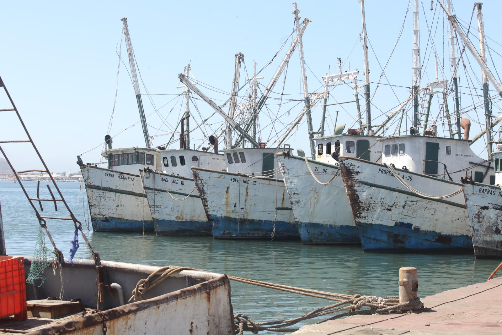 $!Industria camaronera de Mazatlán flota en un mar de crisis