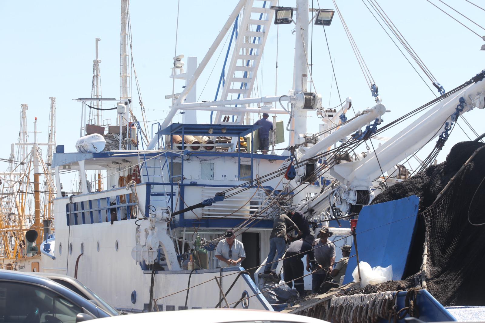 $!Industria camaronera de Mazatlán flota en un mar de crisis