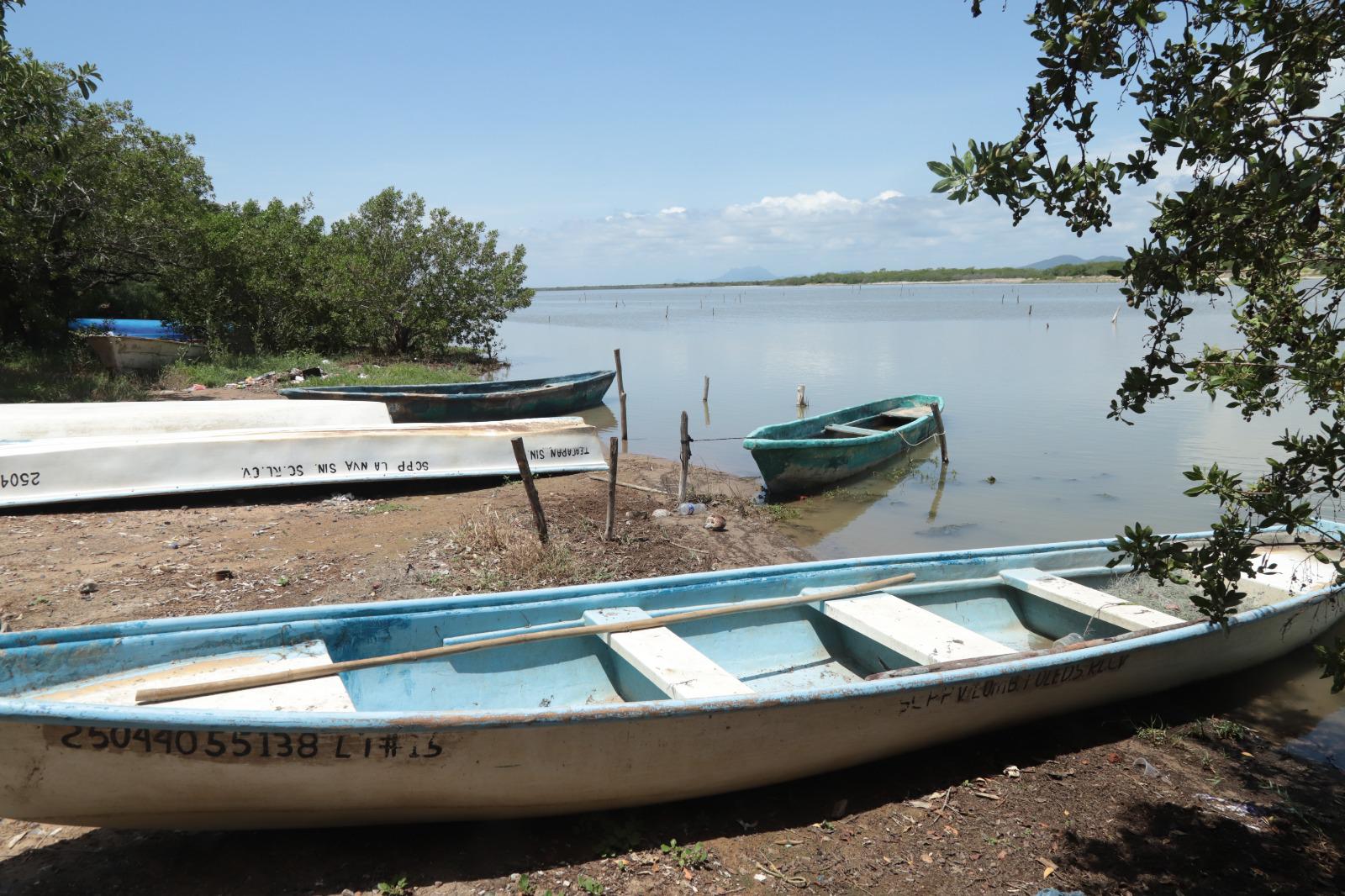 $!Temporada de camarón está muerta antes de iniciar: pescadores ribereños
