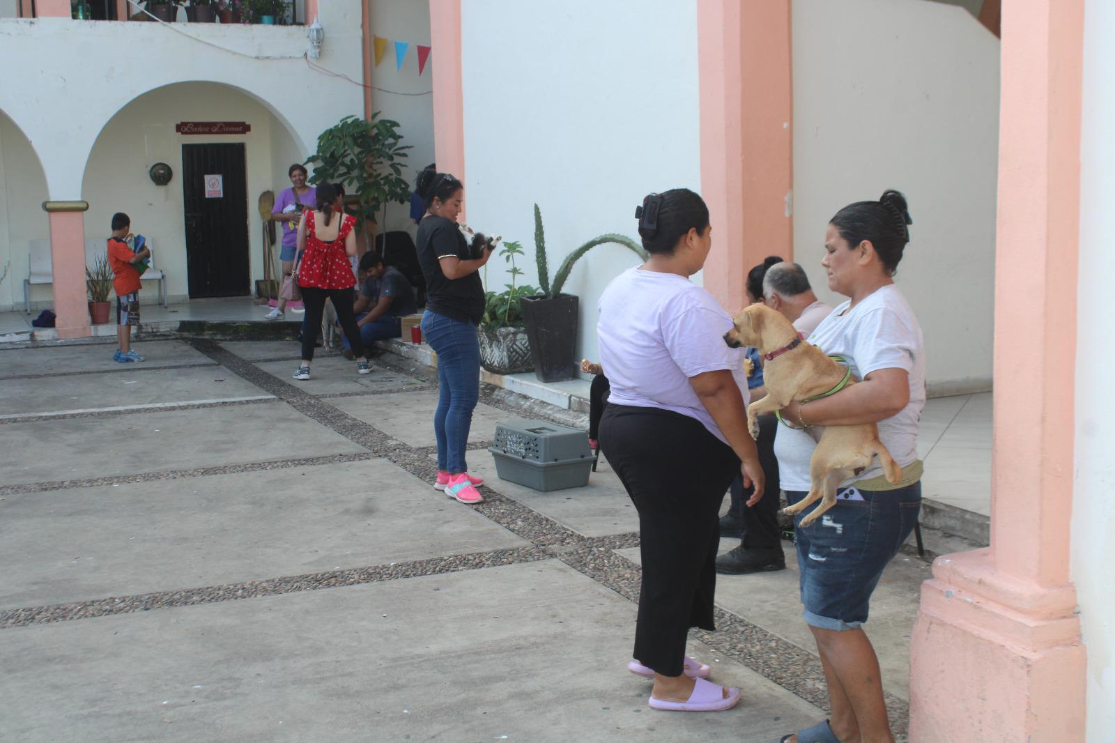 $!Crece abandono de mascotas en Rosario, informan activistas