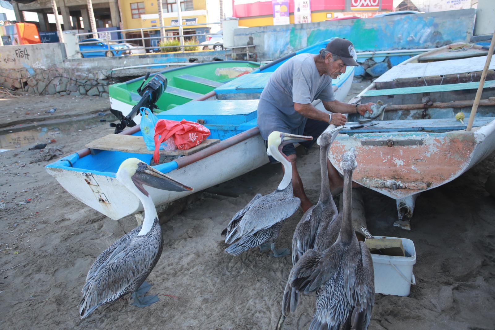 $!Desconocen pescadores de Playa Norte sobre el apoyo de $15 millones que prometió el Gobernador