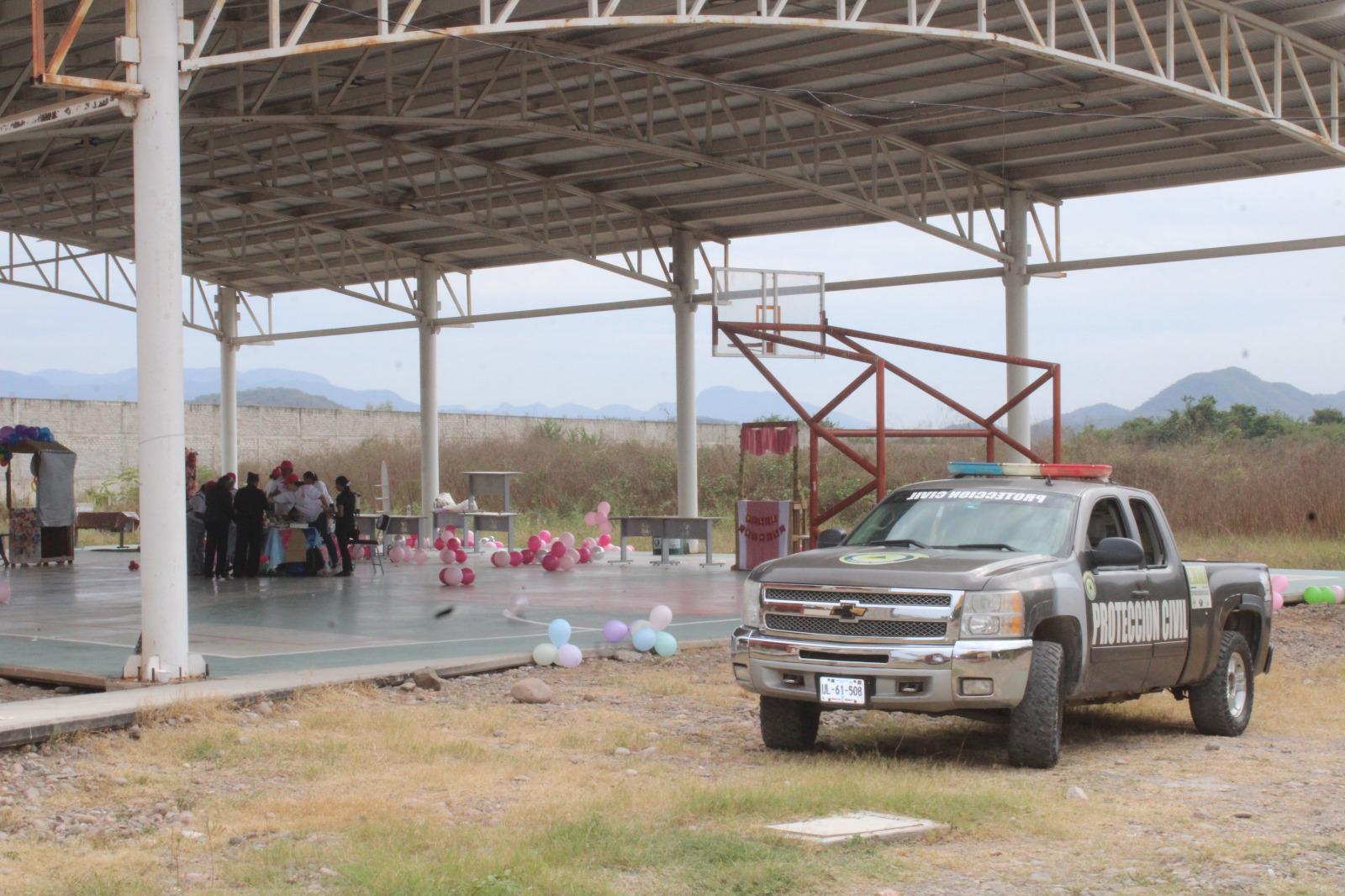 $!De nuevo se registra ataque de abejas en la UAdeO en Rosario