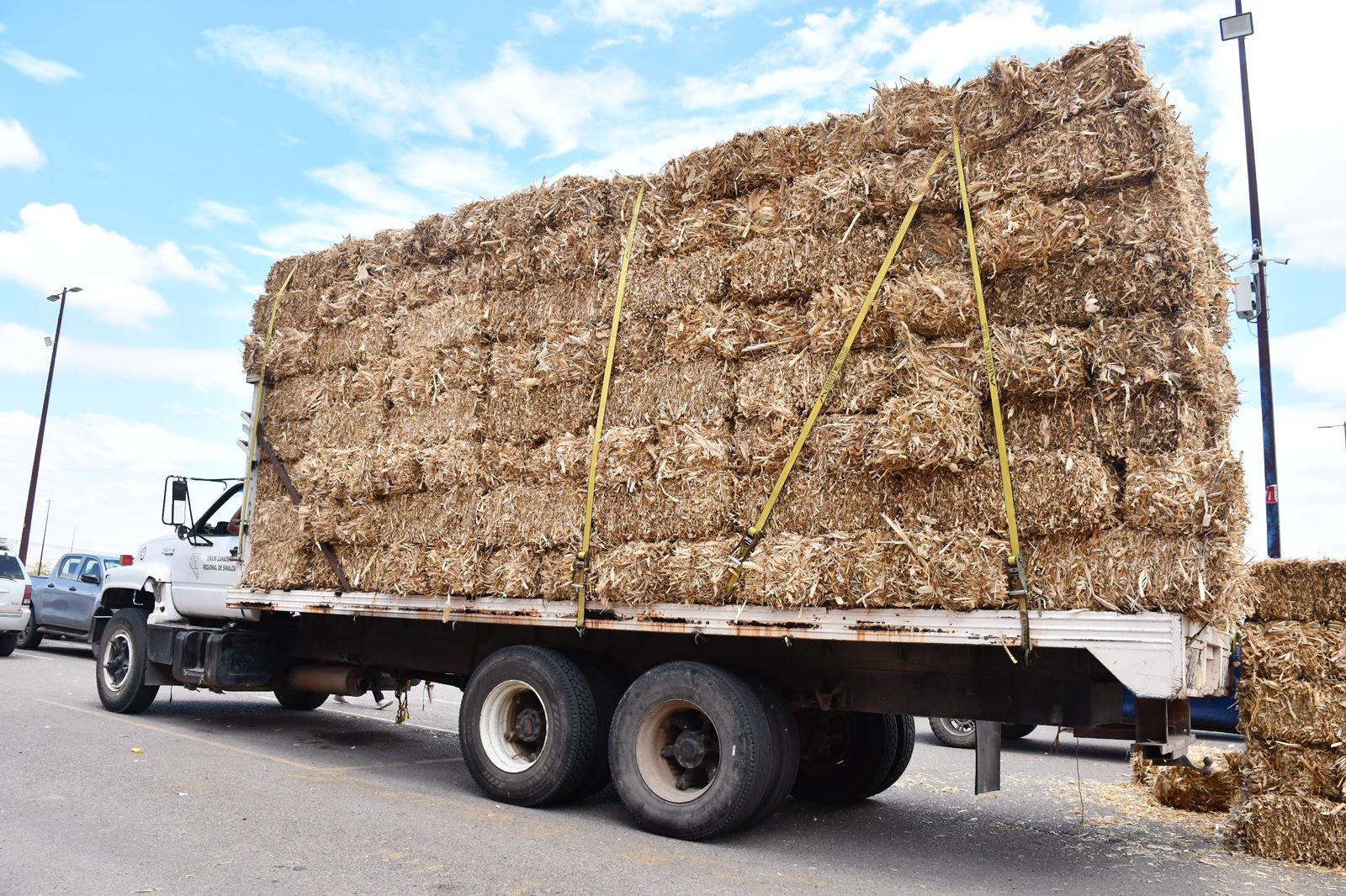 $!Entrega Gobierno de Culiacán pacas de maíz a ganaderos para mitigar falta de alimento