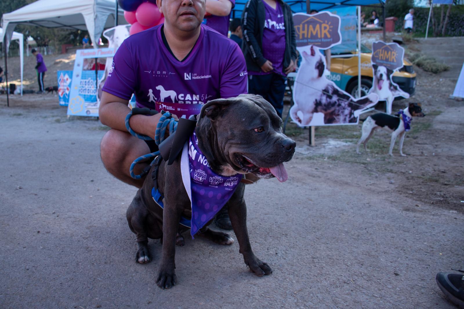 $!Realizan ‘canrrera’ por una calidad de vida digna para perros en Culiacán