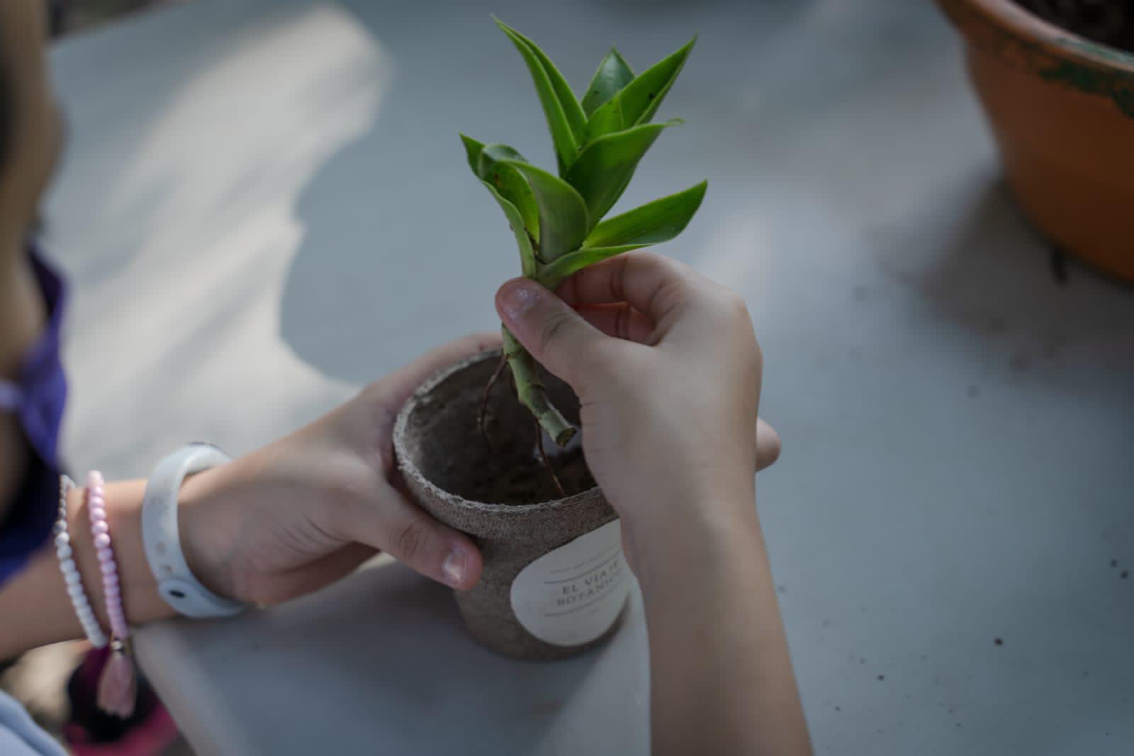 $!El Viaje Botánico inspira a estudiantes a la educación ambiental y la cultura