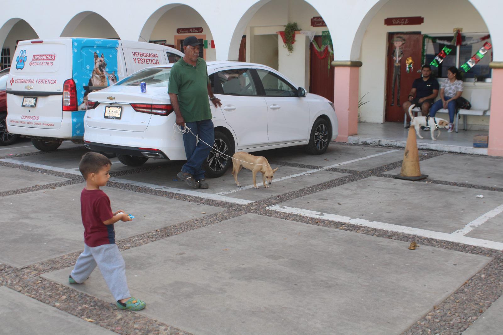 $!Crece abandono de mascotas en Rosario, informan activistas
