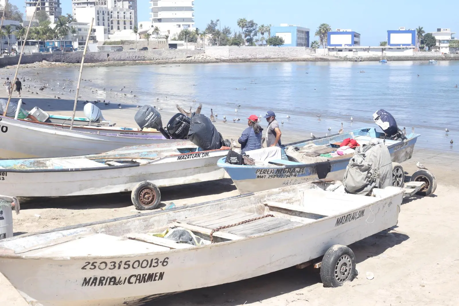 $!Reportan bajas ventas de pescado en Playa Norte pese a temporada vacacional en Mazatlán