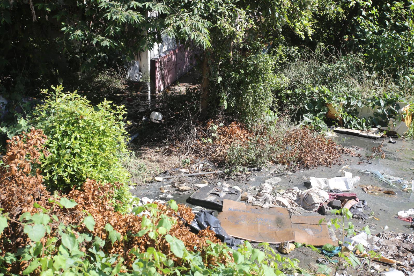 $!Entre maleza, basura y contaminación se encuentran las instalaciones del antiguo Hospital General, en Mazatlán