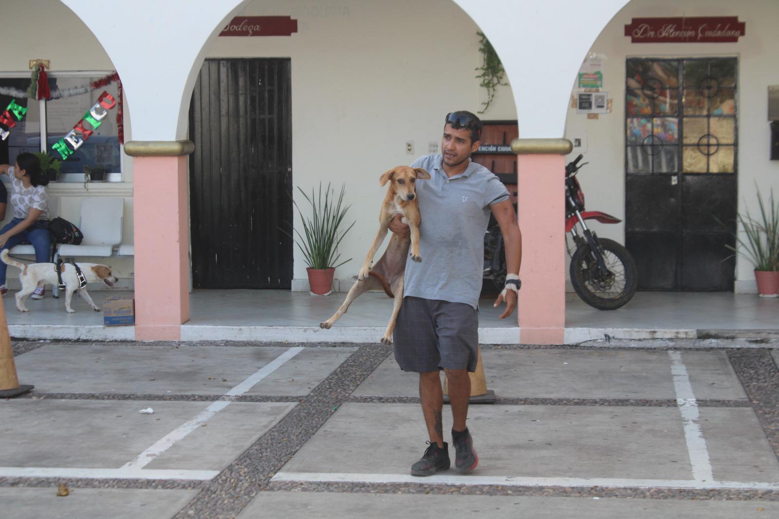 $!Crece abandono de mascotas en Rosario, informan activistas