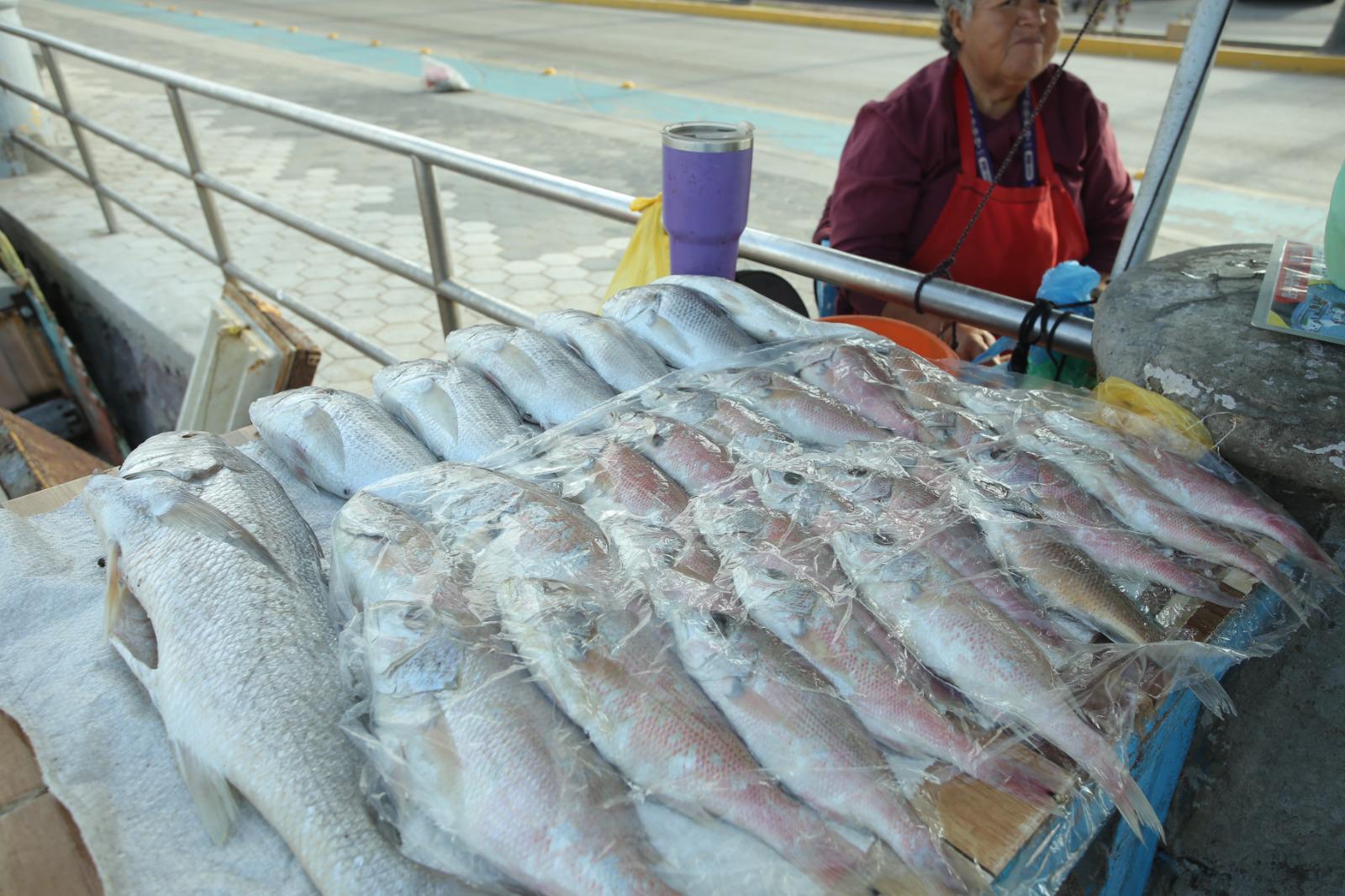 $!Reportan repunte en ventas de pescado en Playa Norte