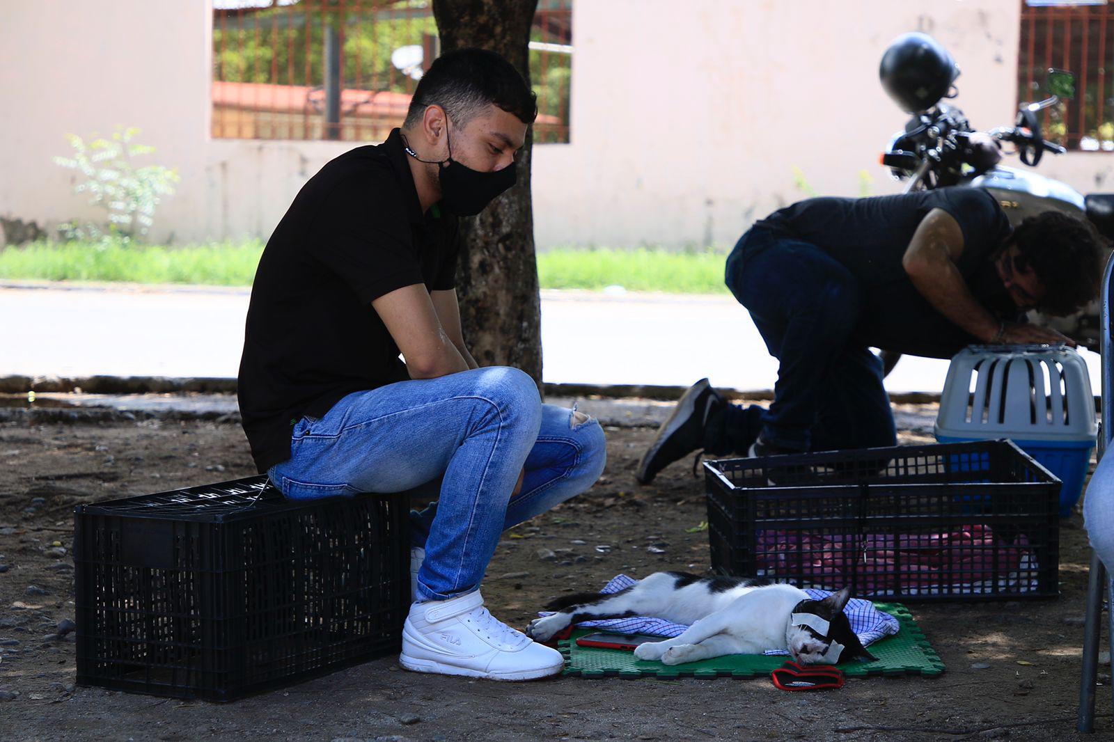 $!Amplían una semana más campaña de esterilización de mascotas en Infonavit Humaya, en Culiacán