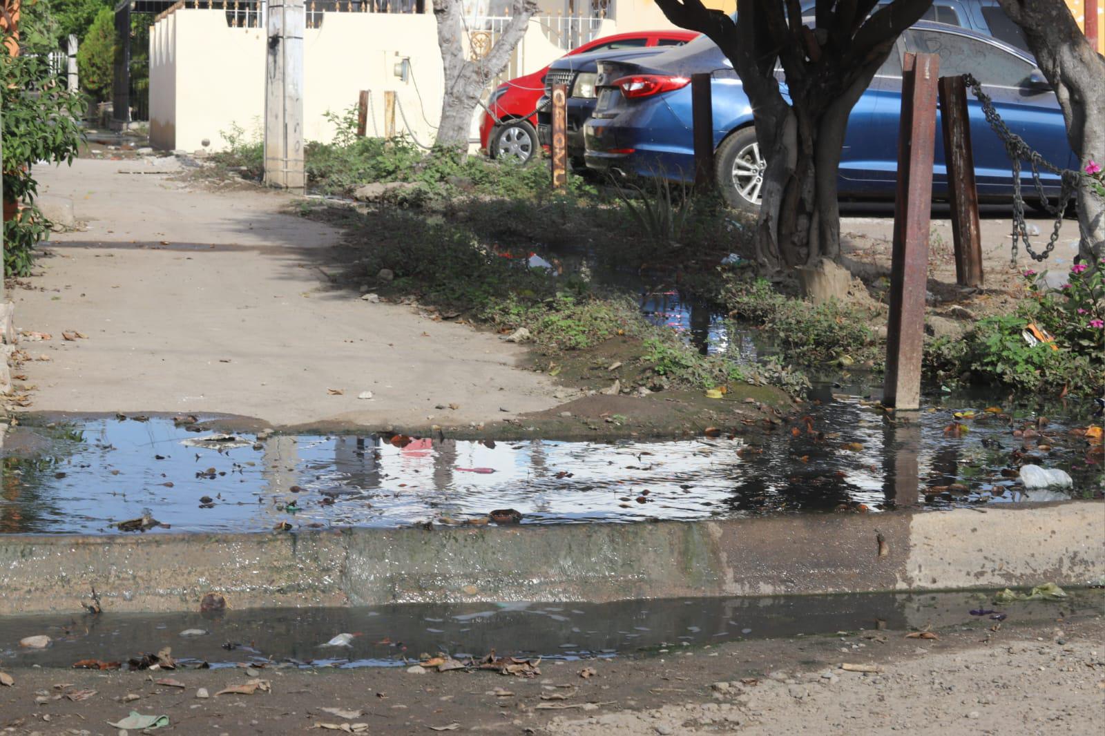 $!Pestilentes fugas ahogan a vecinos del Infonavit Jabalíes, en Mazatlán