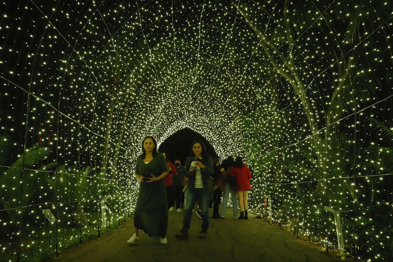 $!Se ilumina de Navidad el Jardín Botánico de Culiacán por sus 35 años