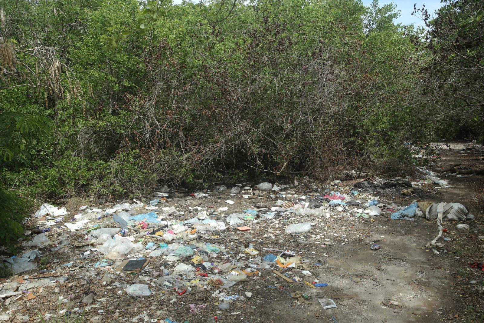 $!Acaban de limpiar y... ¡otra vez! están llenos de basura los márgenes del Estero del Infiernillo