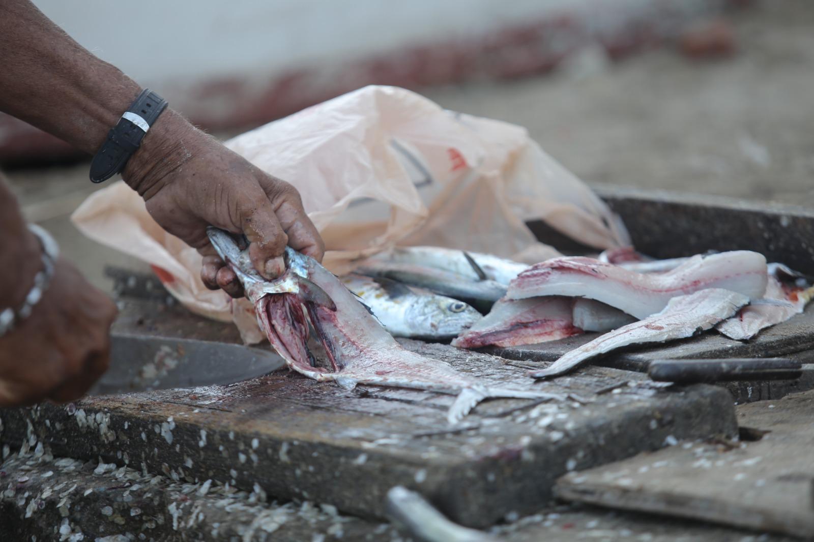 $!El mar se pone frío y en Mazatlán inicia la temporada de sierra